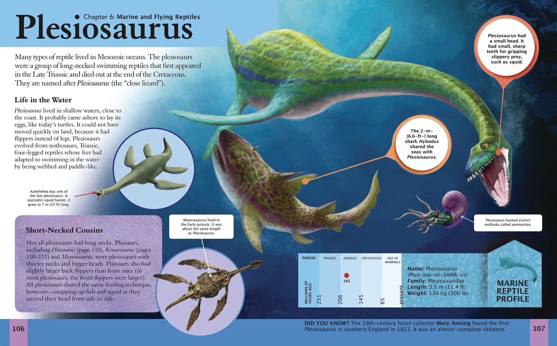 Amazing Book of Dinosaurs