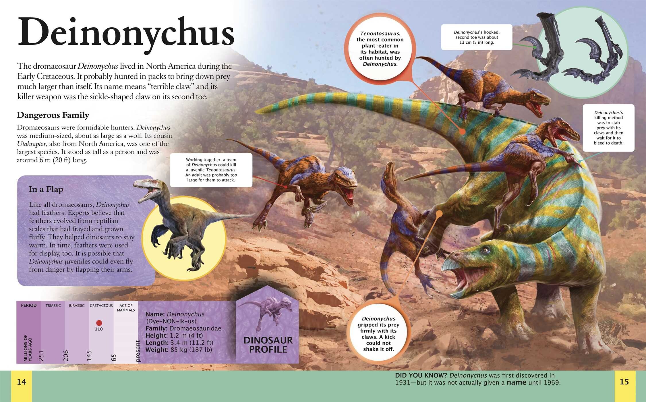 Amazing Book of Dinosaurs