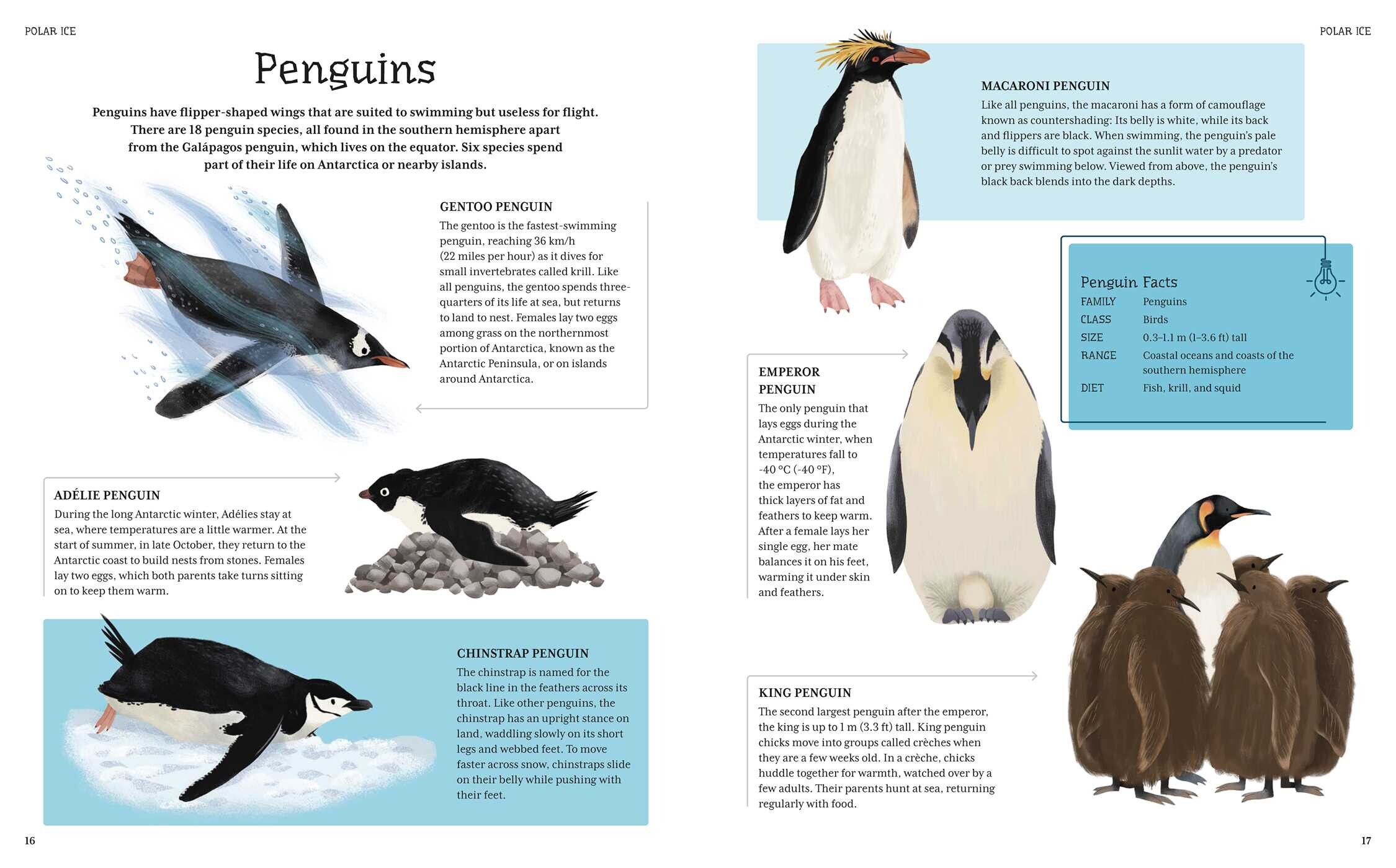 Ultimate Animal Fact and Quiz Book