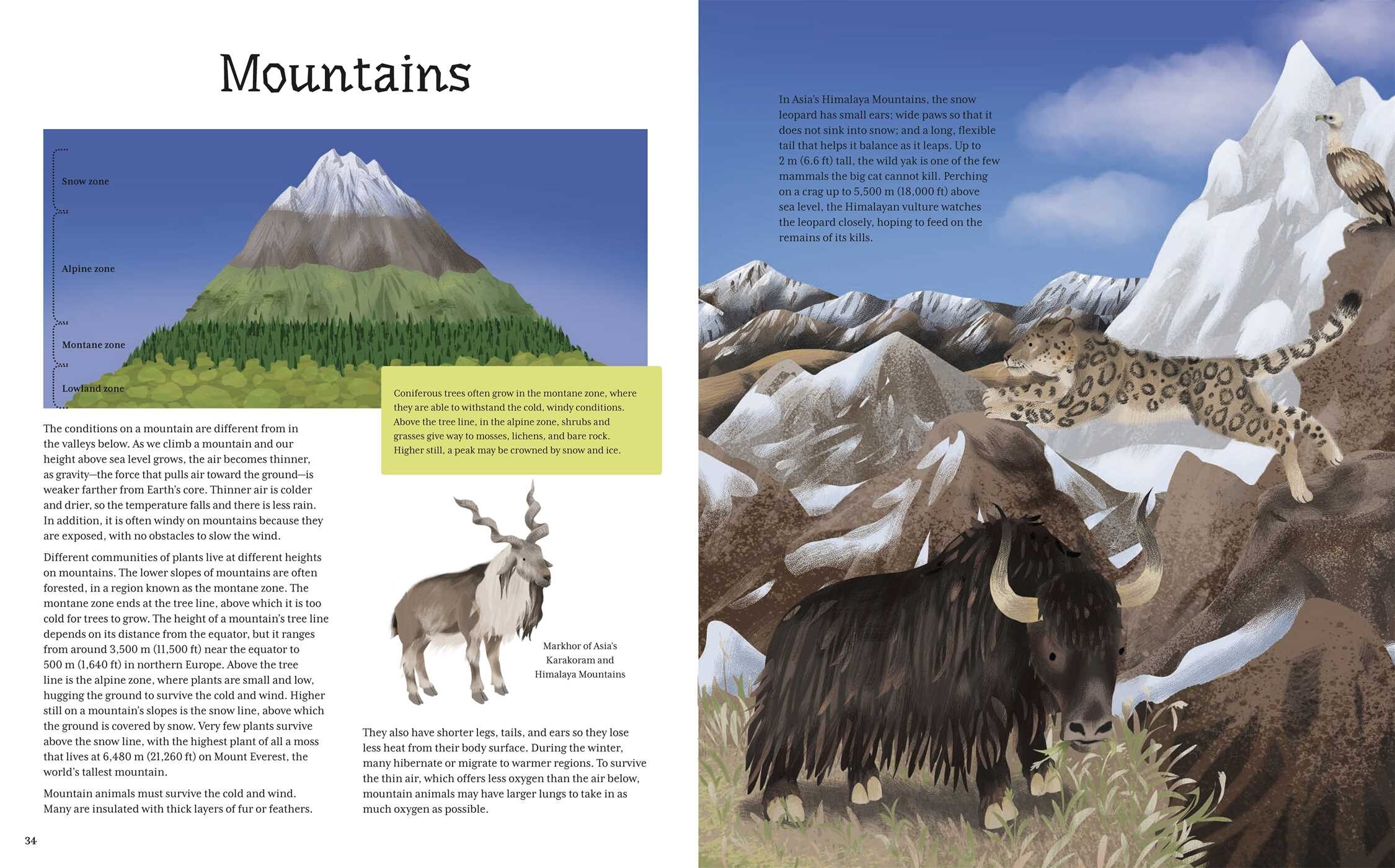 Ultimate Animal Fact and Quiz Book