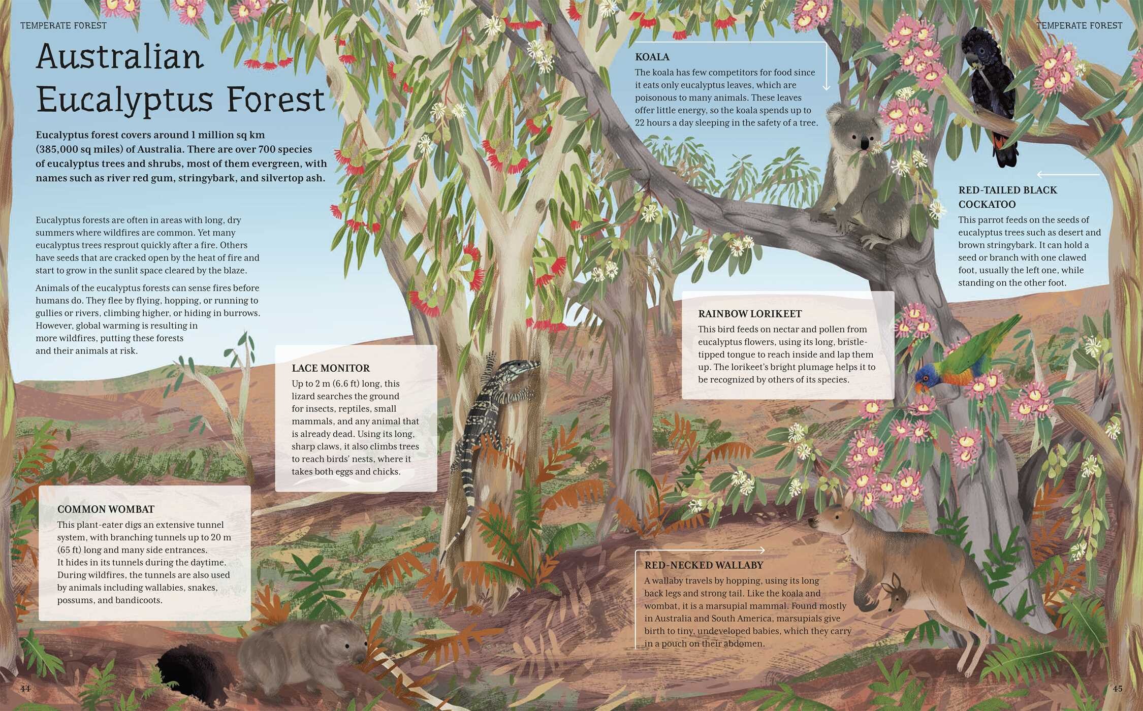 Ultimate Animal Fact and Quiz Book