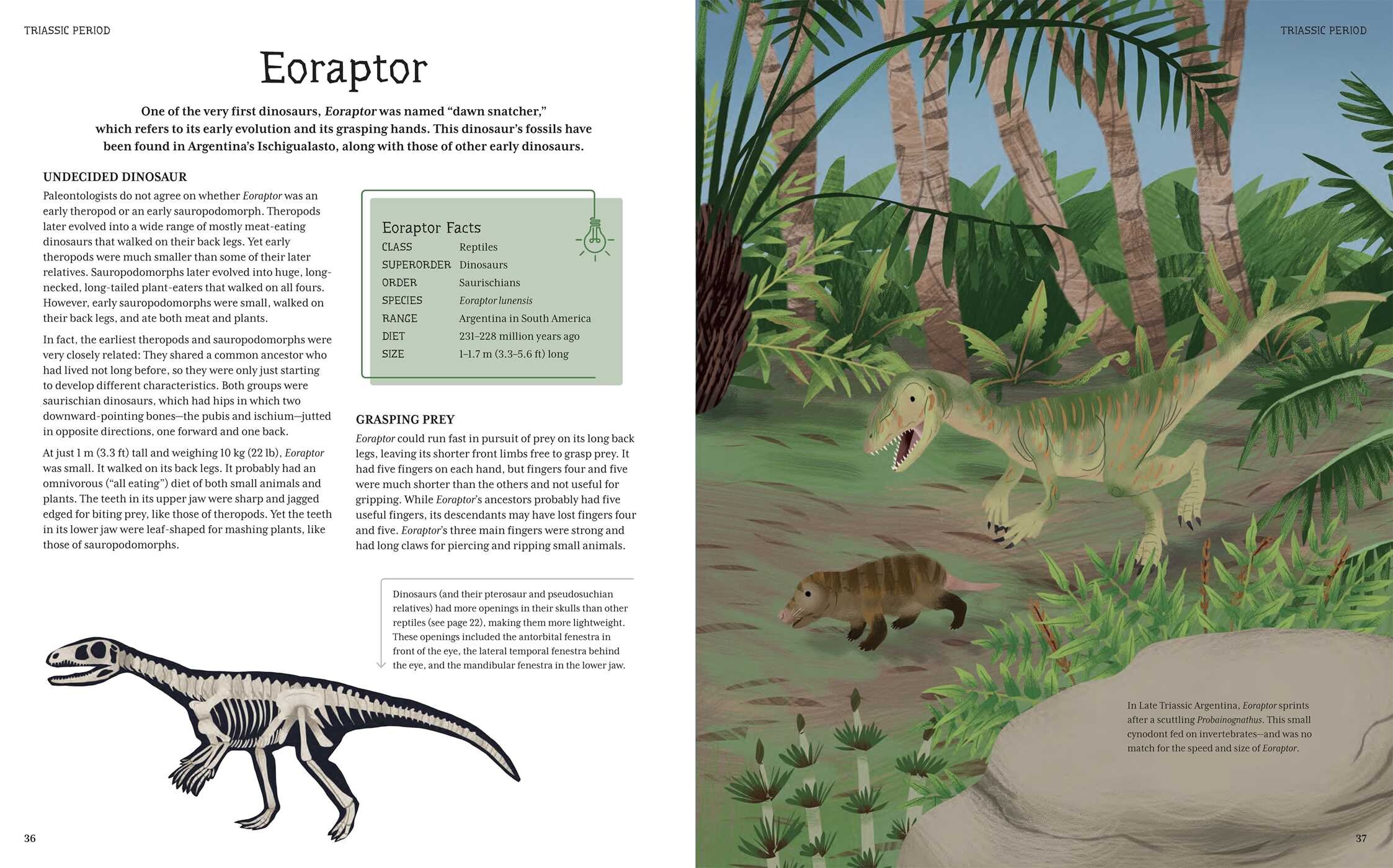 Ultimate Dinosaur Fact and Quiz Book