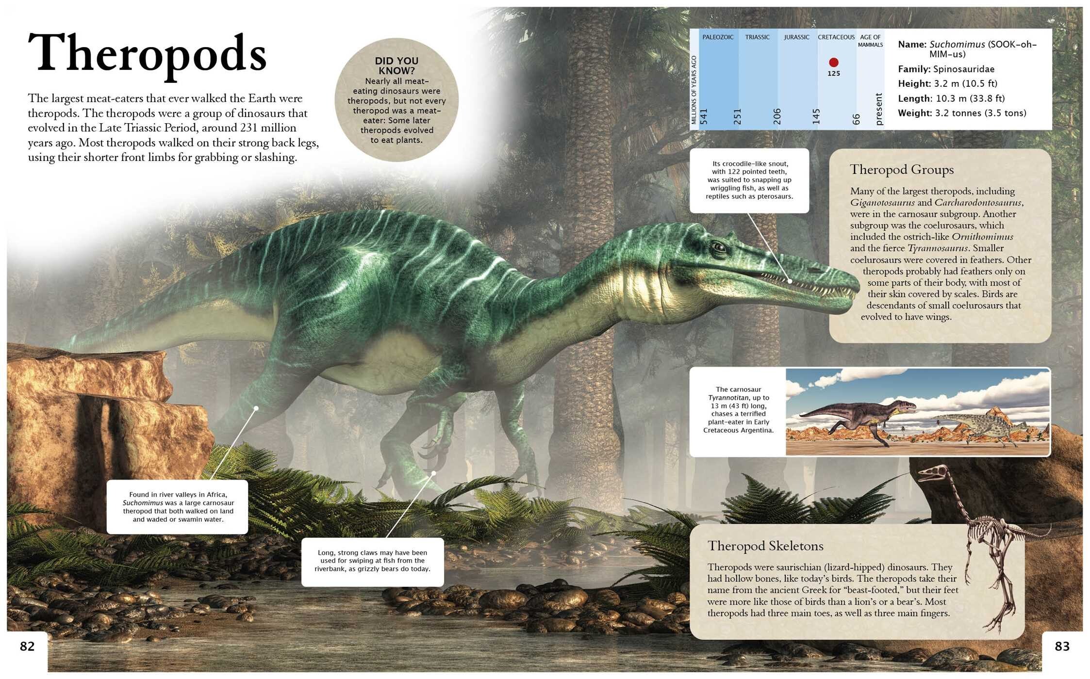 Dinosaurs