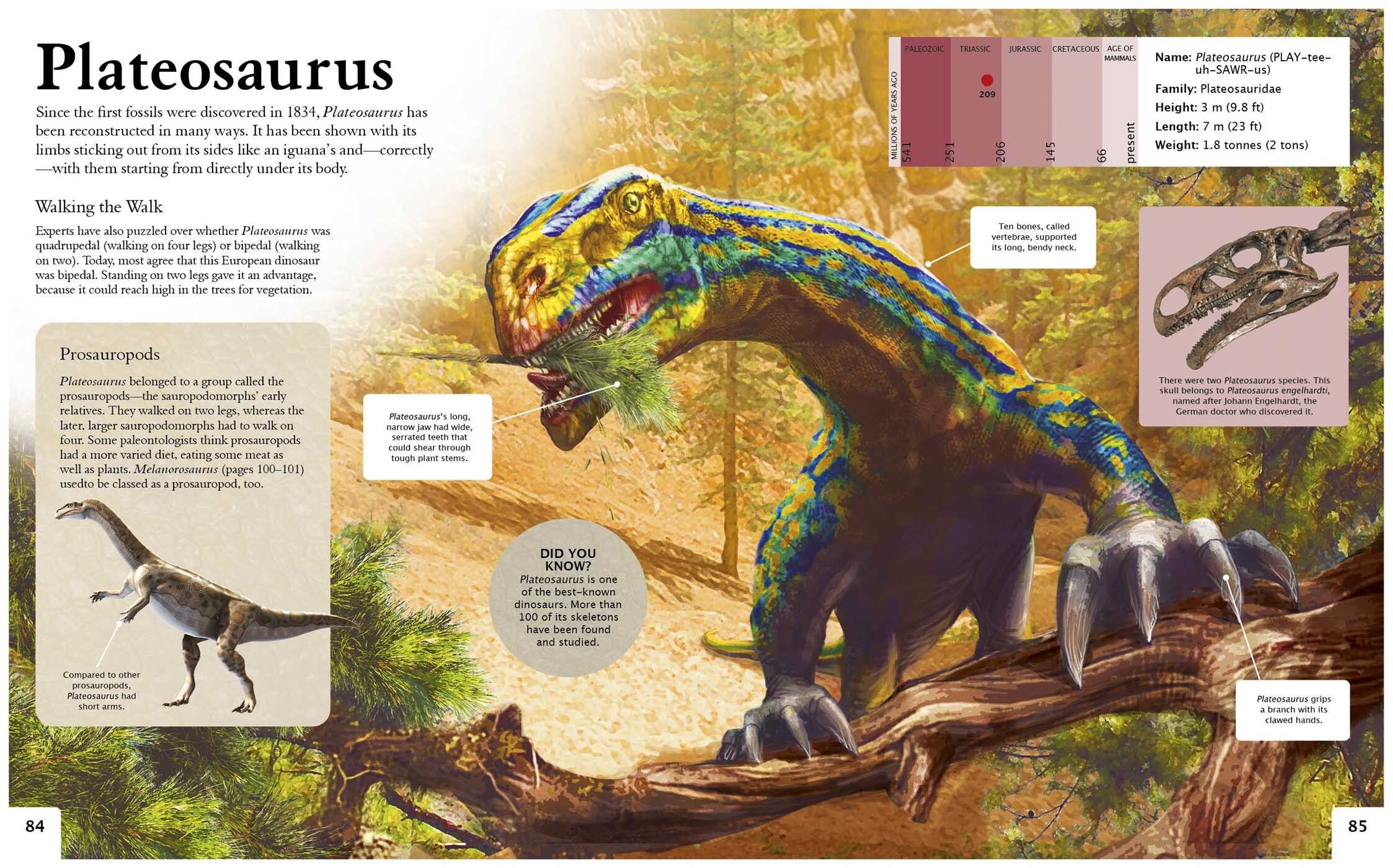 Dinosaurs