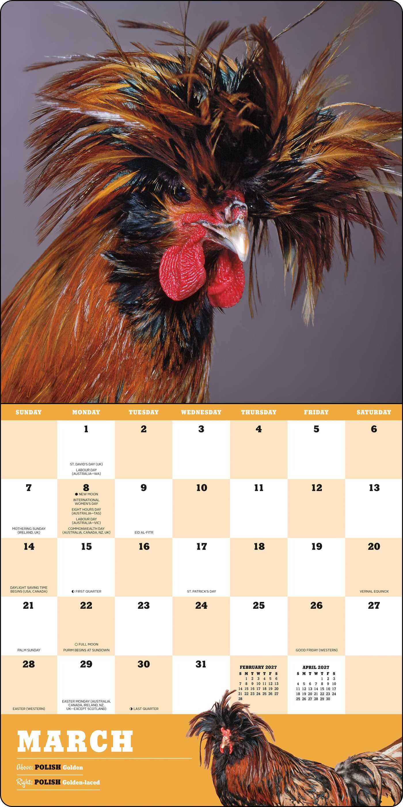 Extraordinary Chickens 2027 Wall Calendar