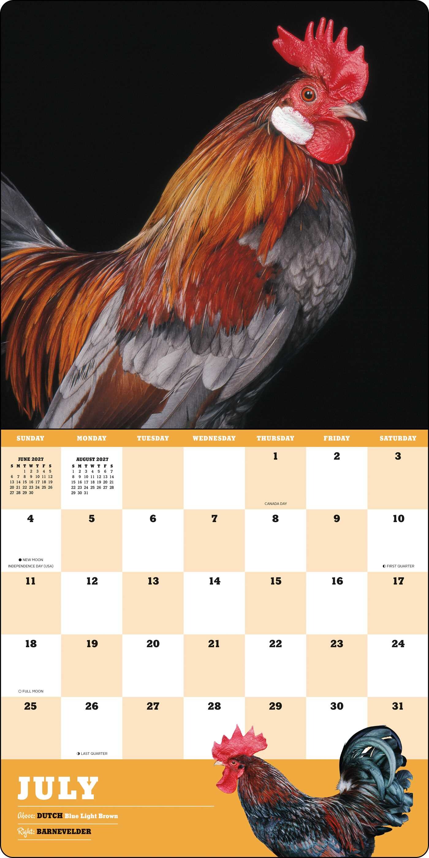 Extraordinary Chickens 2027 Wall Calendar
