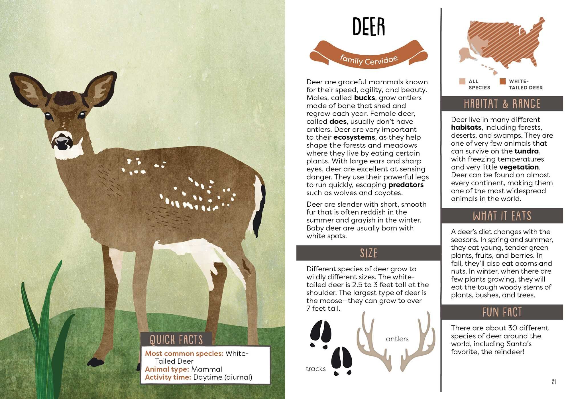 Kid's Guide to Backyard Animals