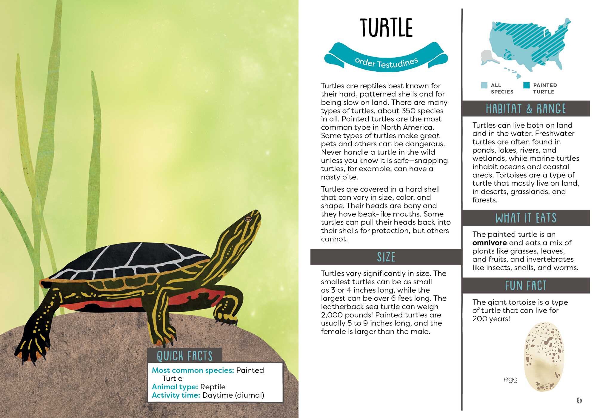Kid's Guide to Backyard Animals