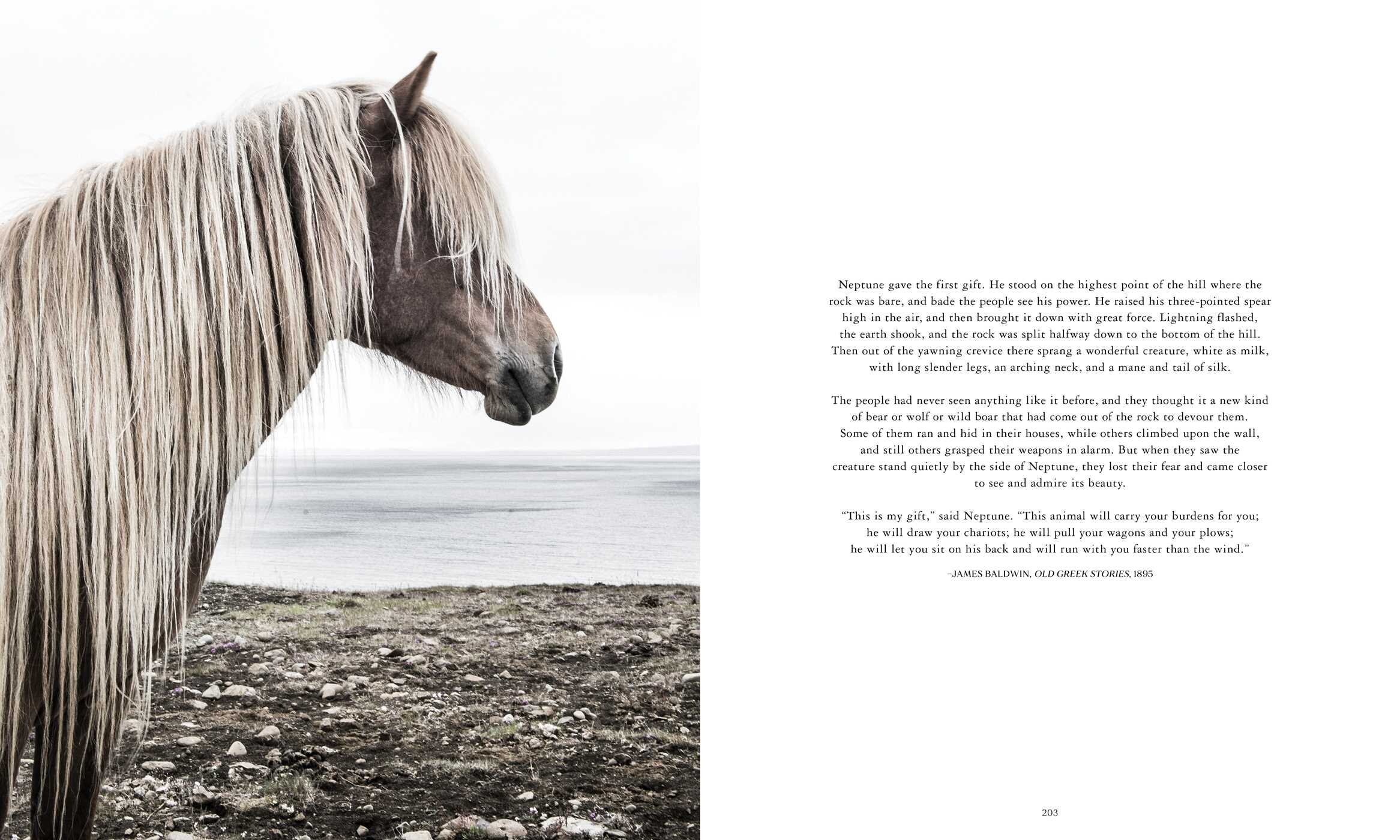 Horse Country
