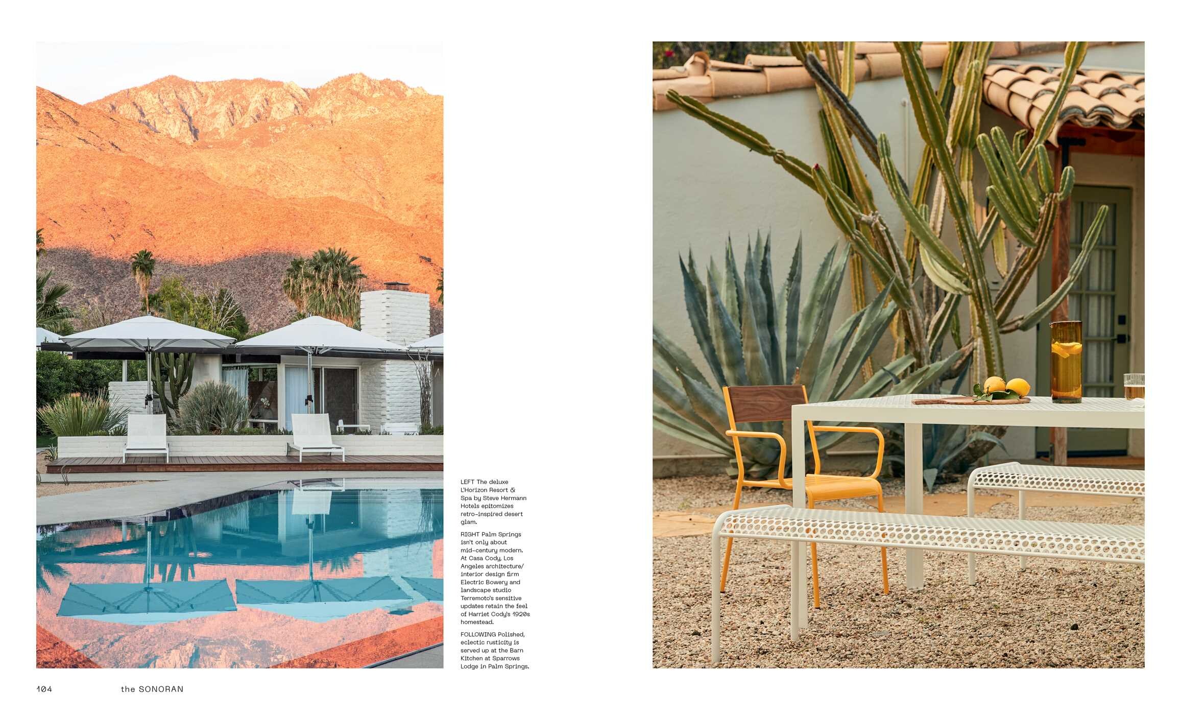 Desert Dreaming