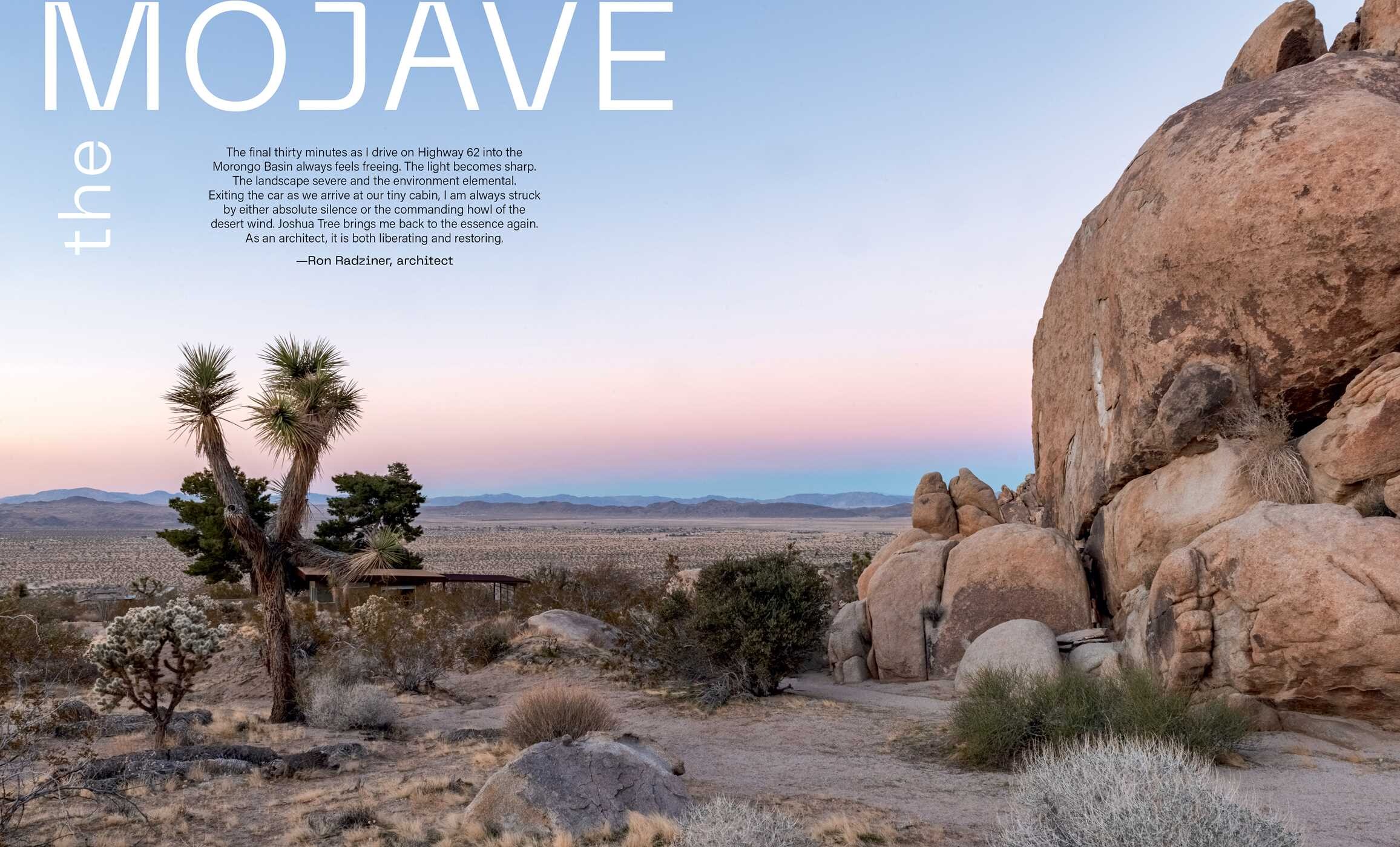 Desert Dreaming