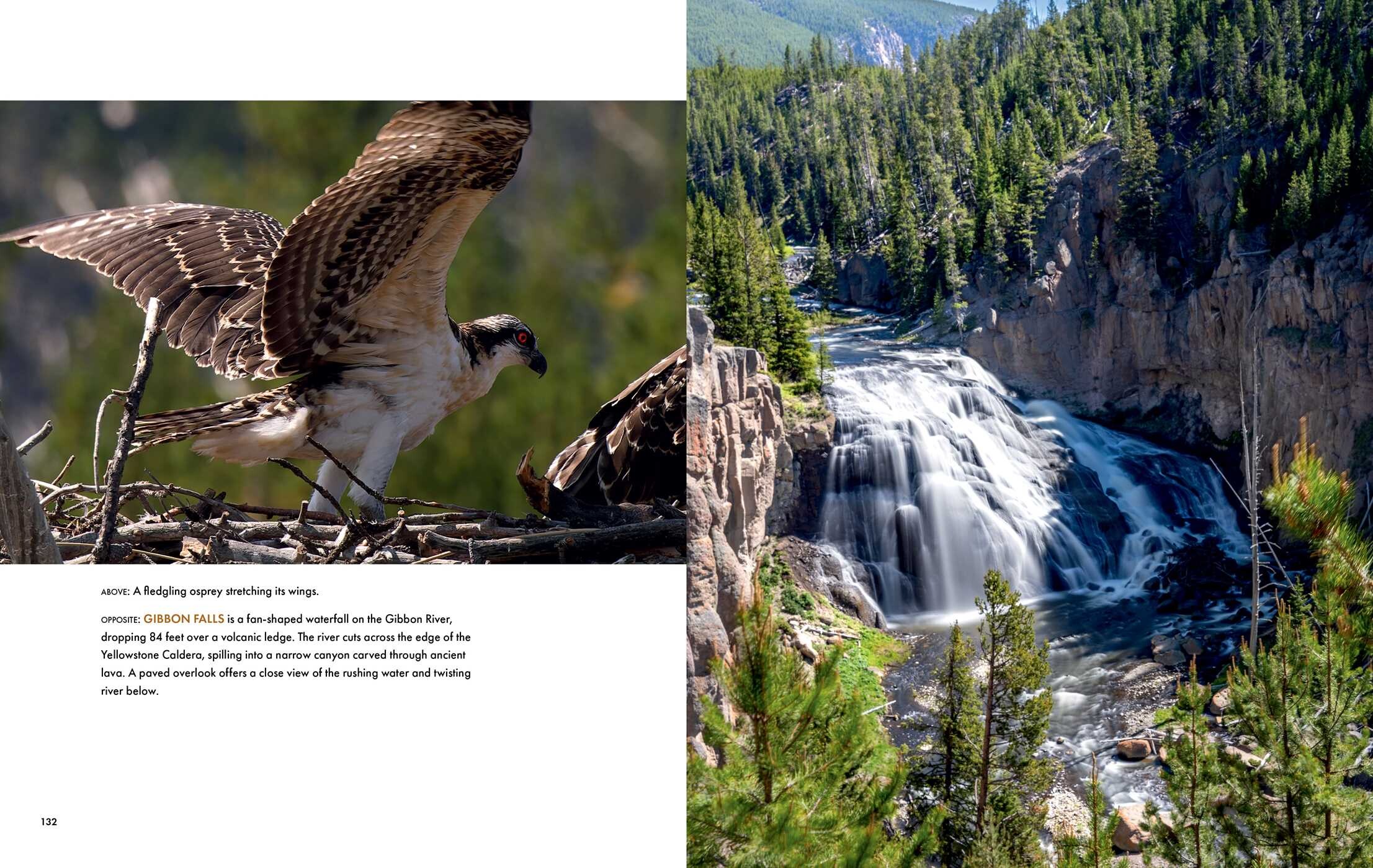 Yellowstone National Park