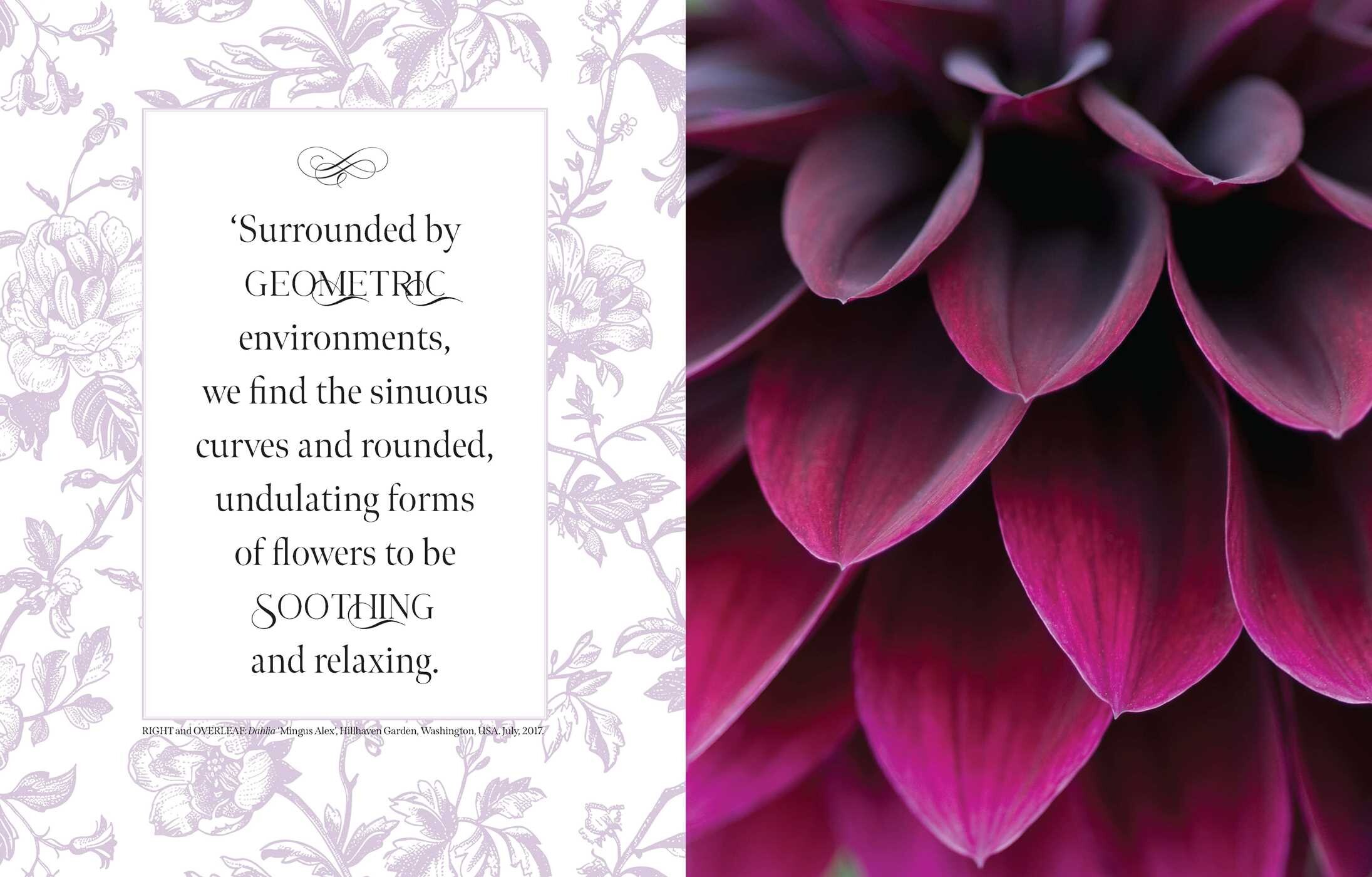 Beautiful Blooms