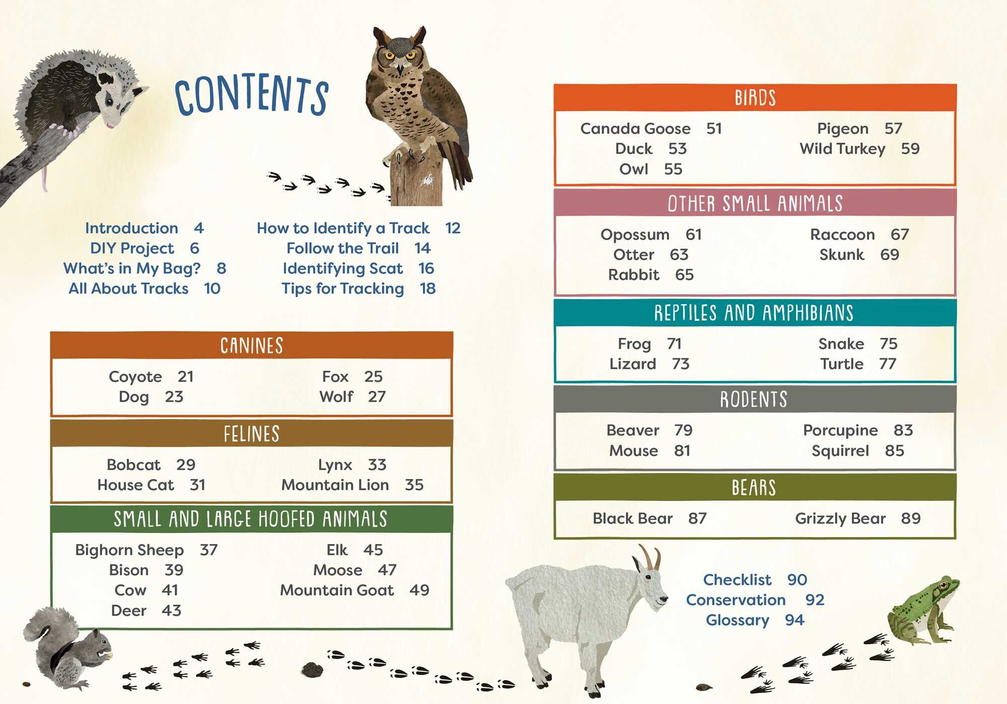 Kid's Guide to Backyard Animal Tracks and Scat