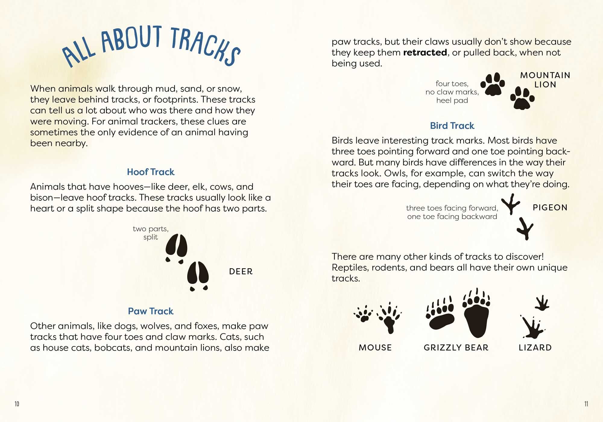 Kid's Guide to Backyard Animal Tracks and Scat