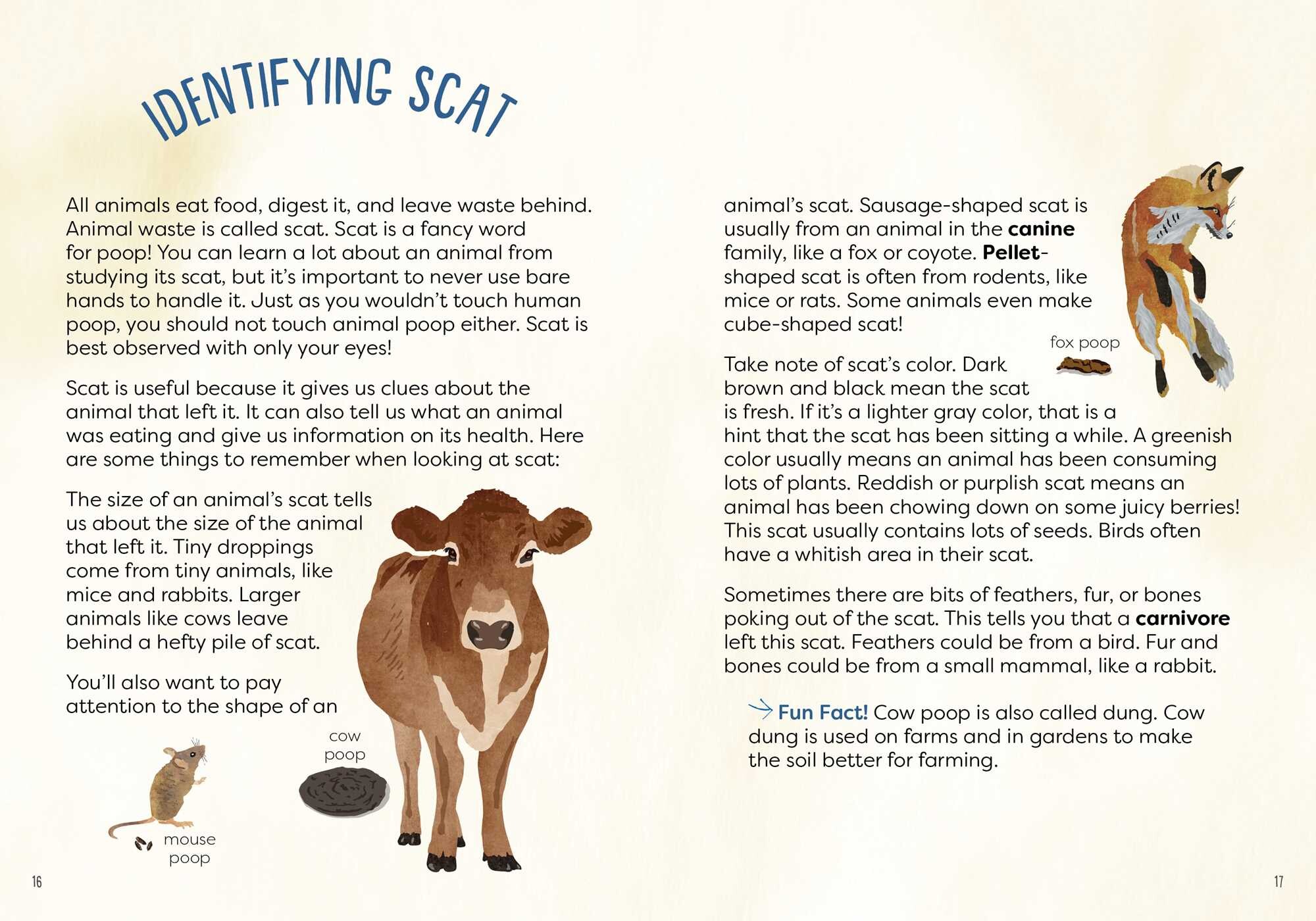 Kid's Guide to Backyard Animal Tracks and Scat