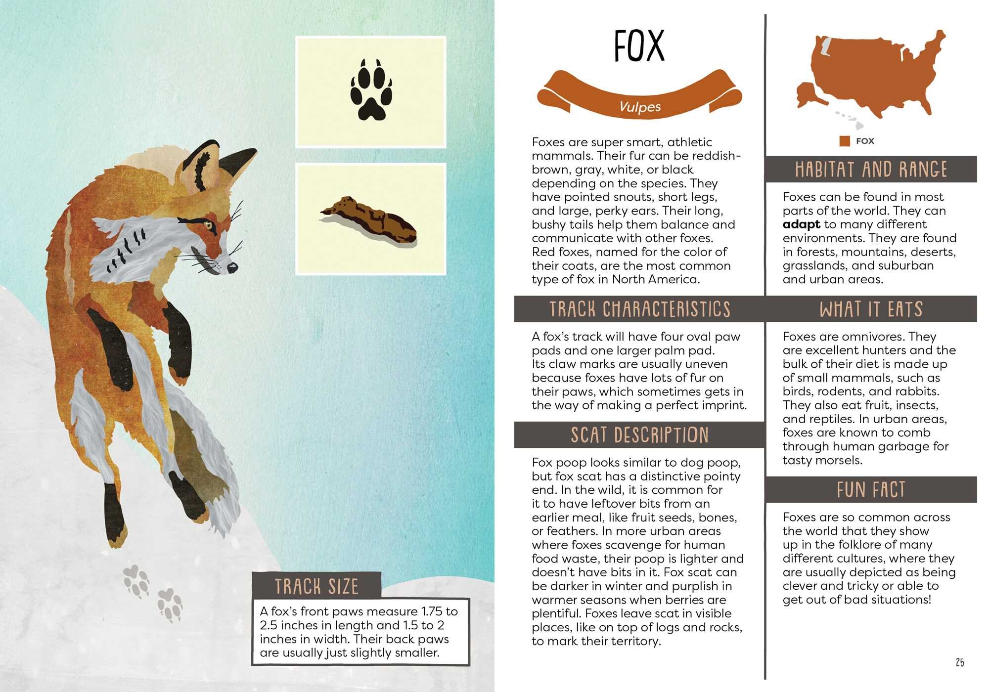 Kid's Guide to Backyard Animal Tracks and Scat