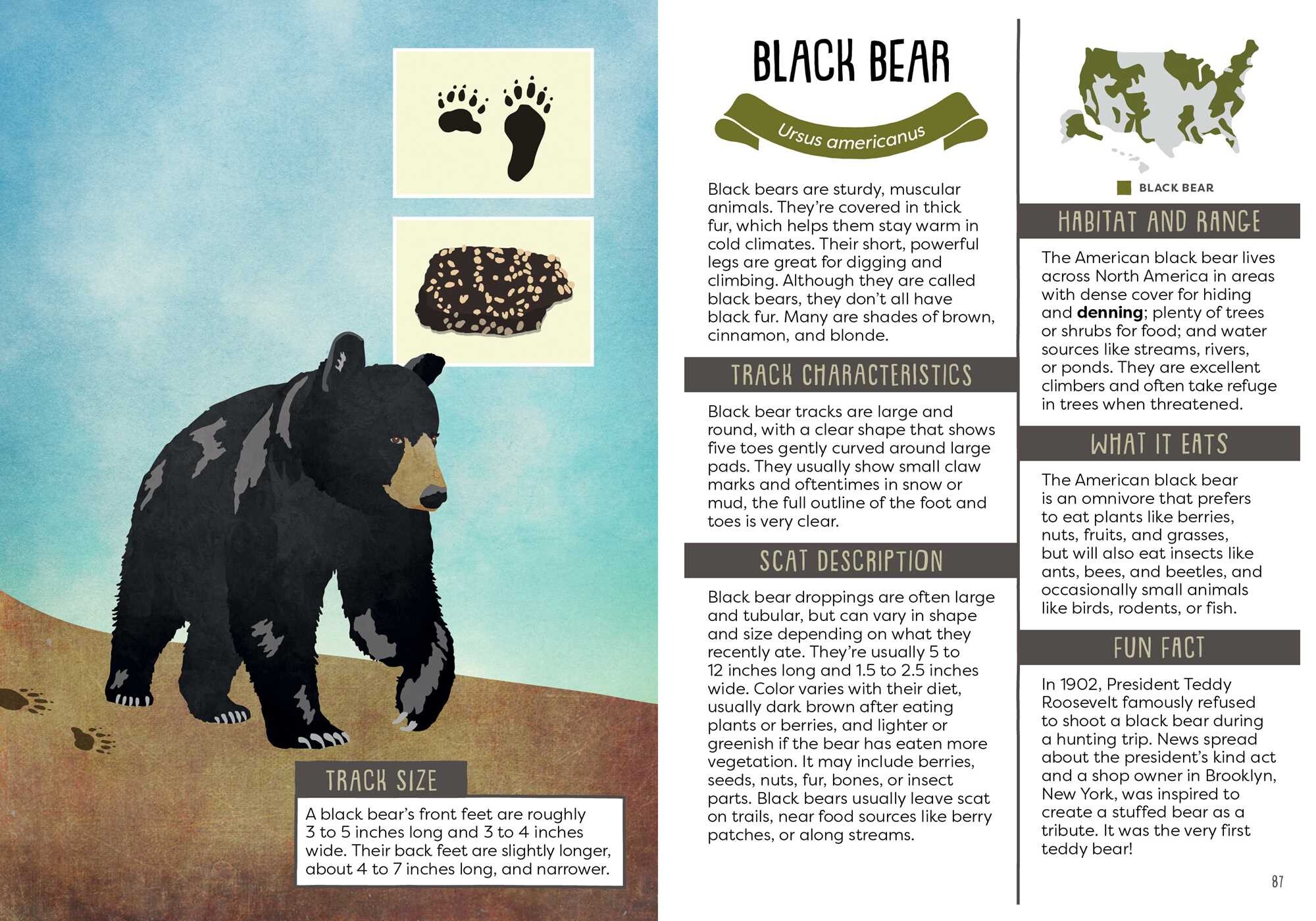 Kid's Guide to Backyard Animal Tracks and Scat