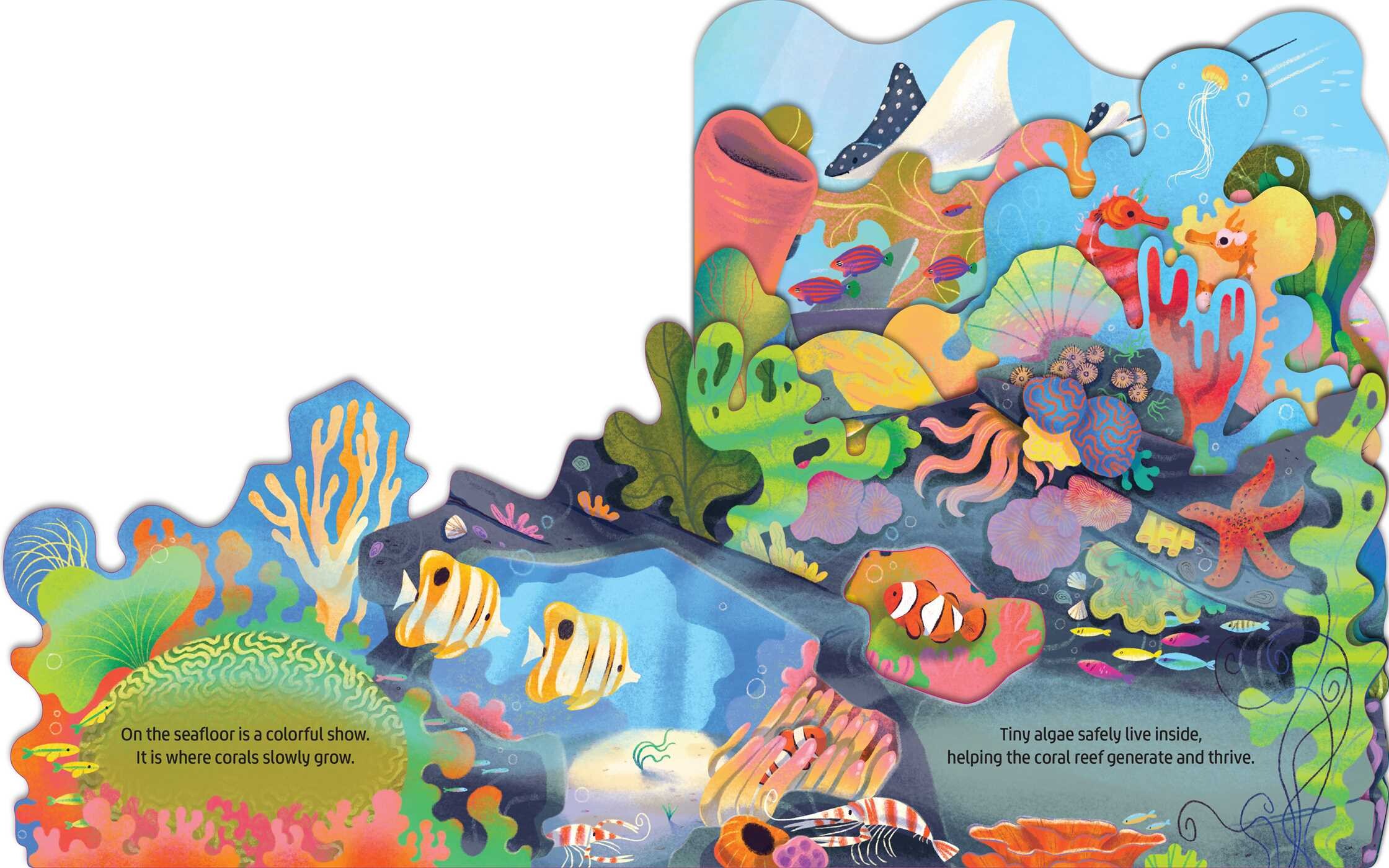 In the Coral Reef