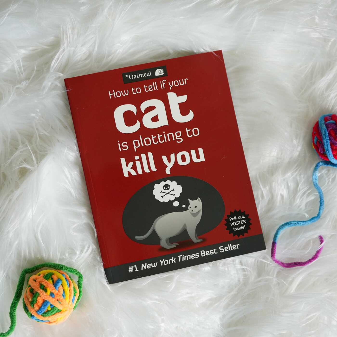 How to Tell If Your Cat Is Plotting to Kill You