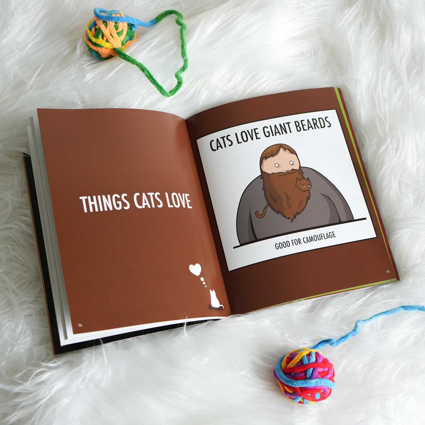 How to Tell If Your Cat Is Plotting to Kill You