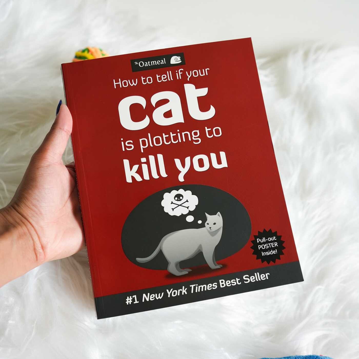 How to Tell If Your Cat Is Plotting to Kill You