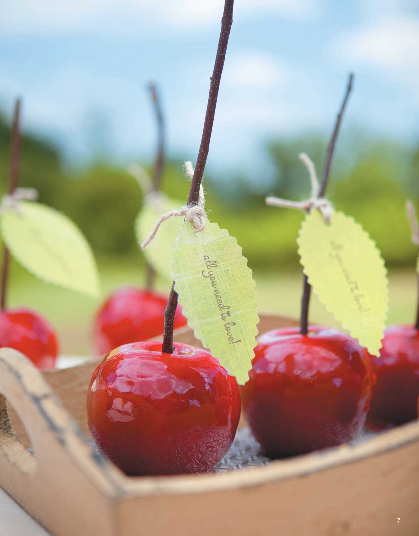 Rustic Wedding Favors