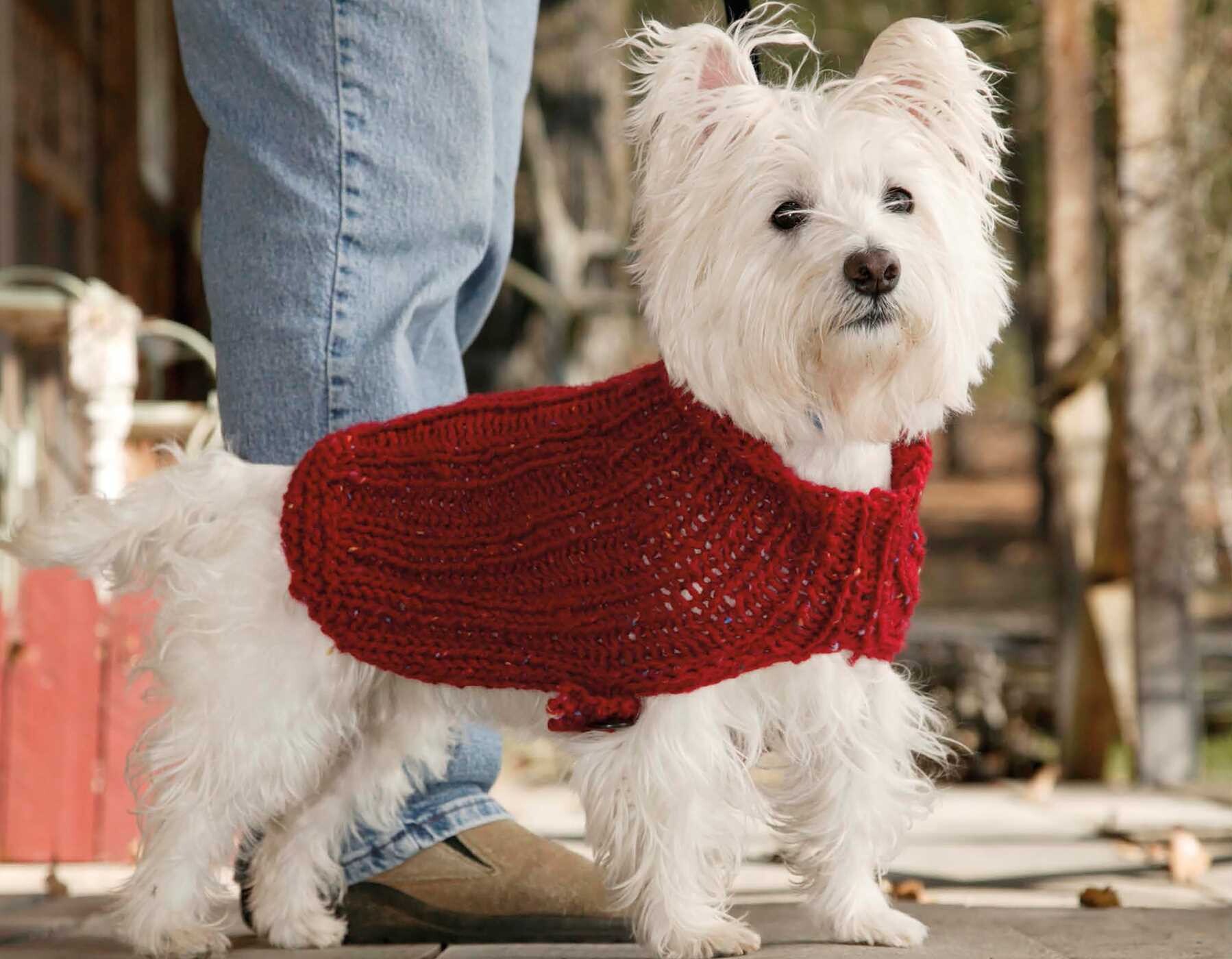 Cozy Knits Made with the Knook