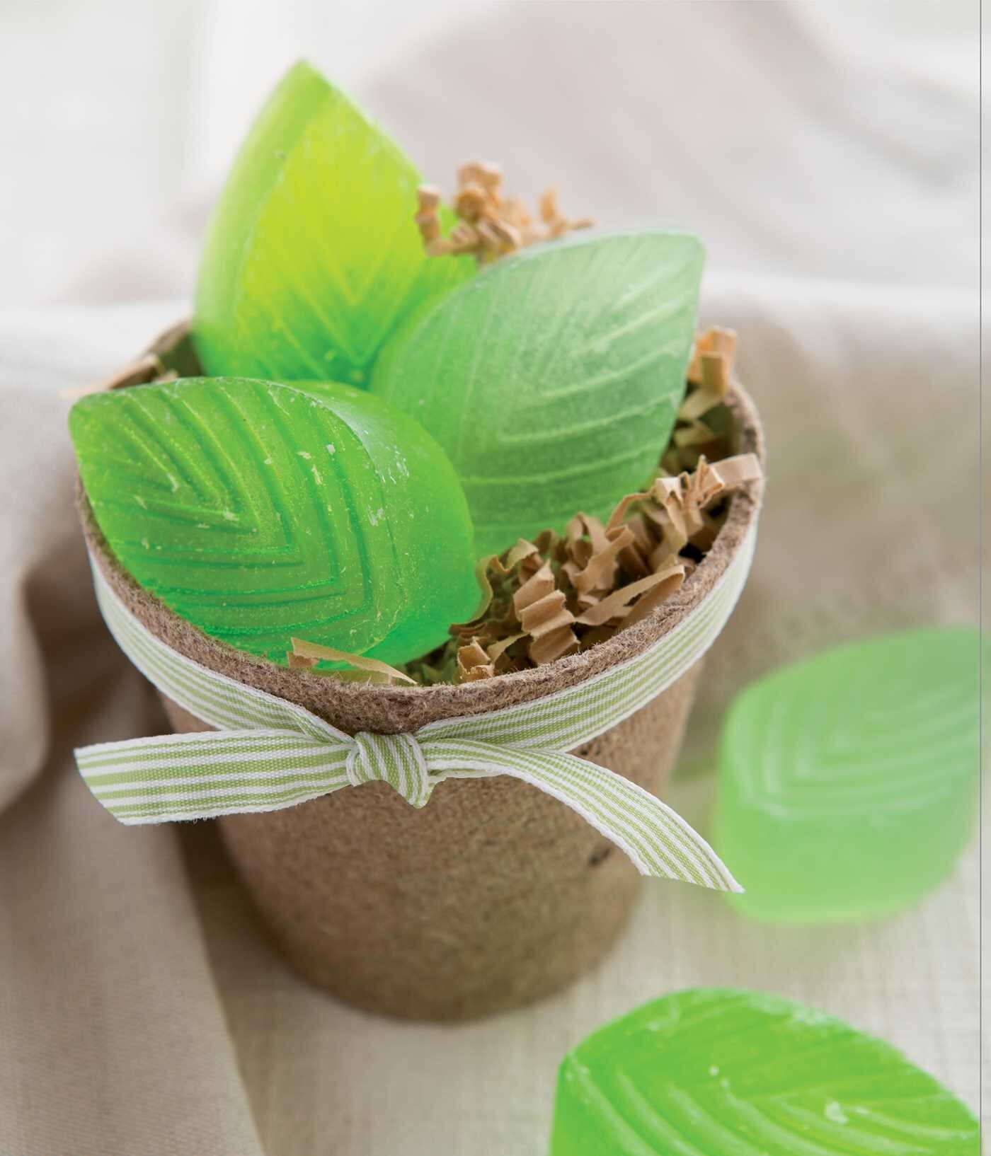 Make and Give Home Soap Making