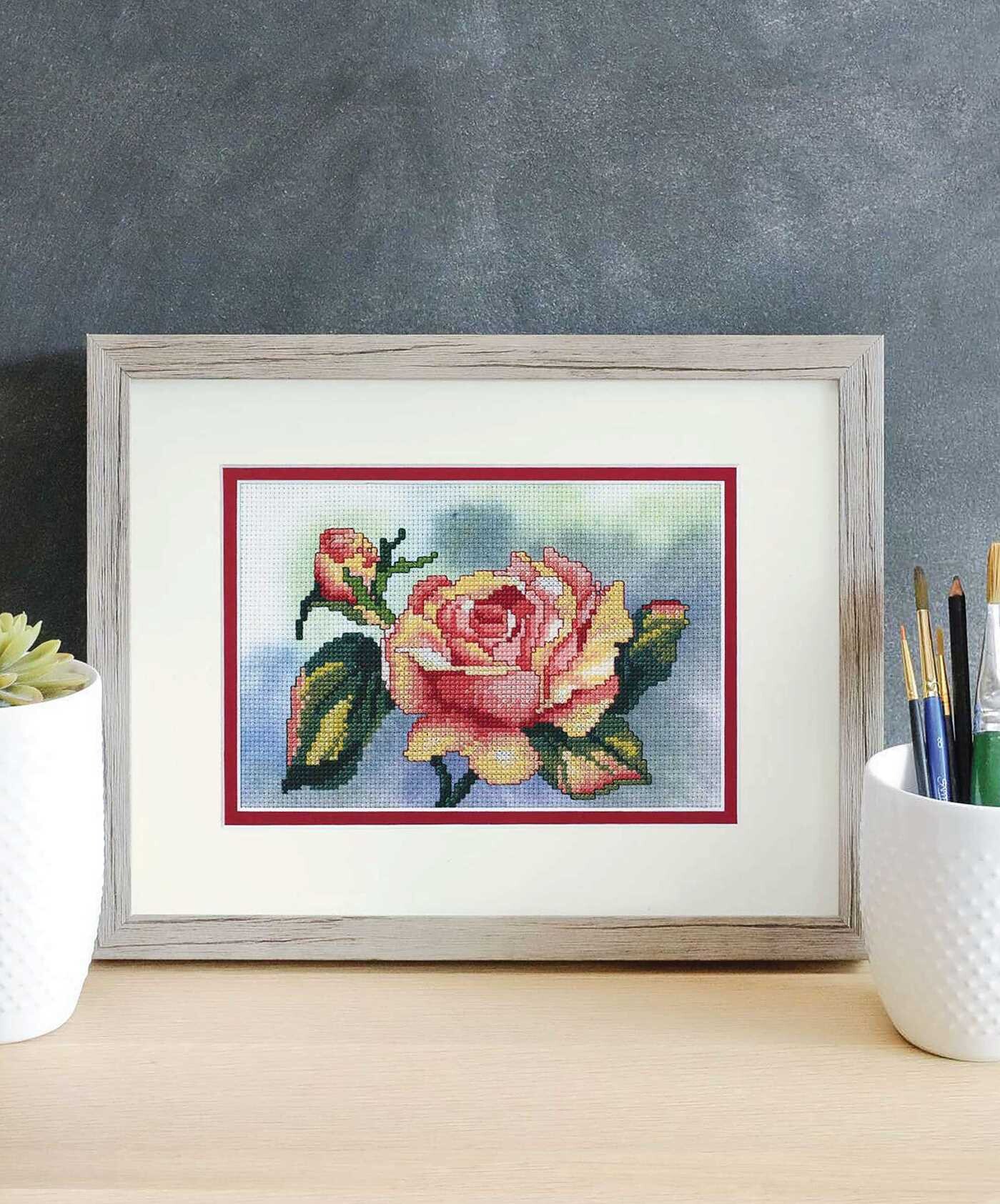 Dye-Namic Cross Stitch