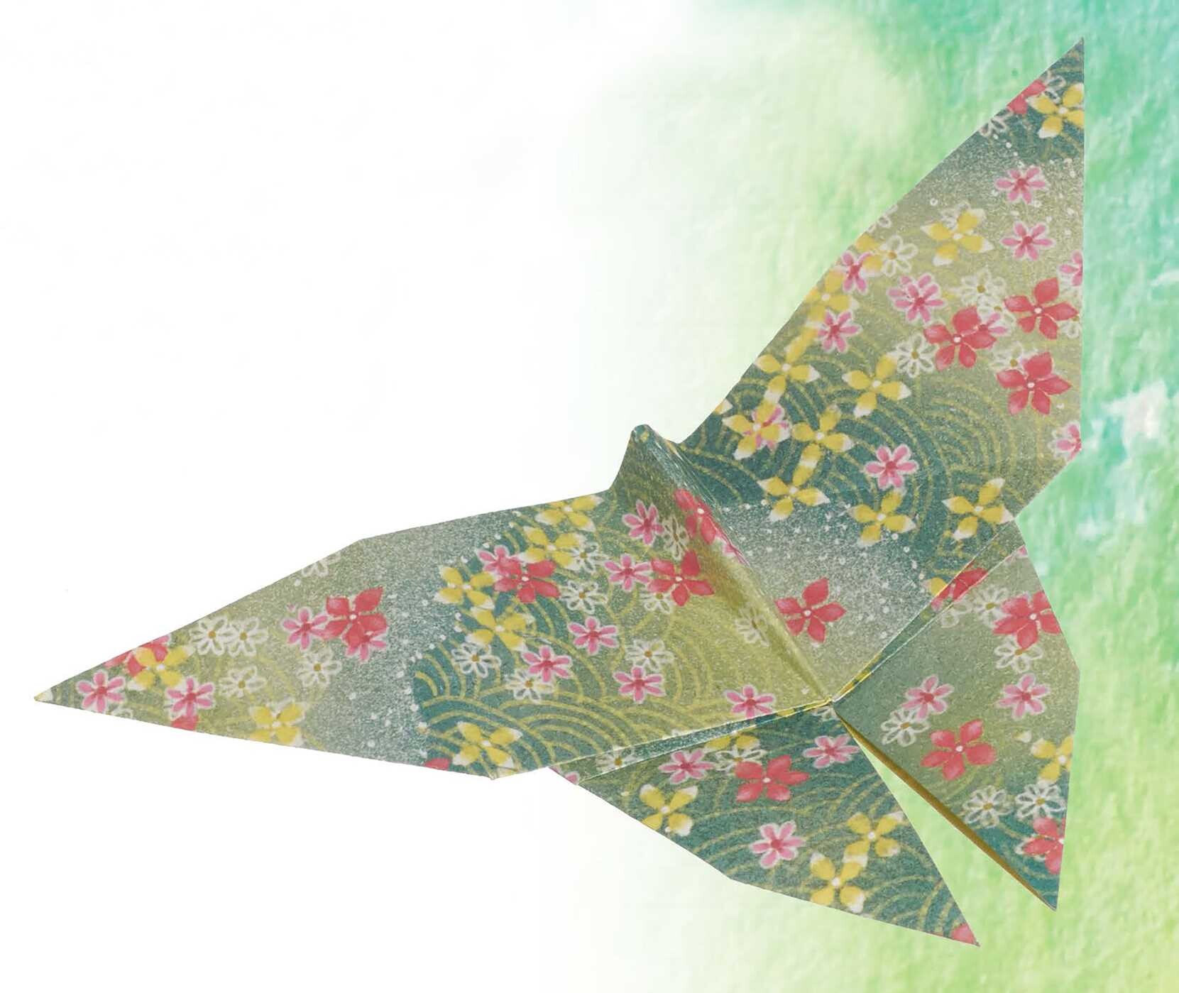 Origami Fun