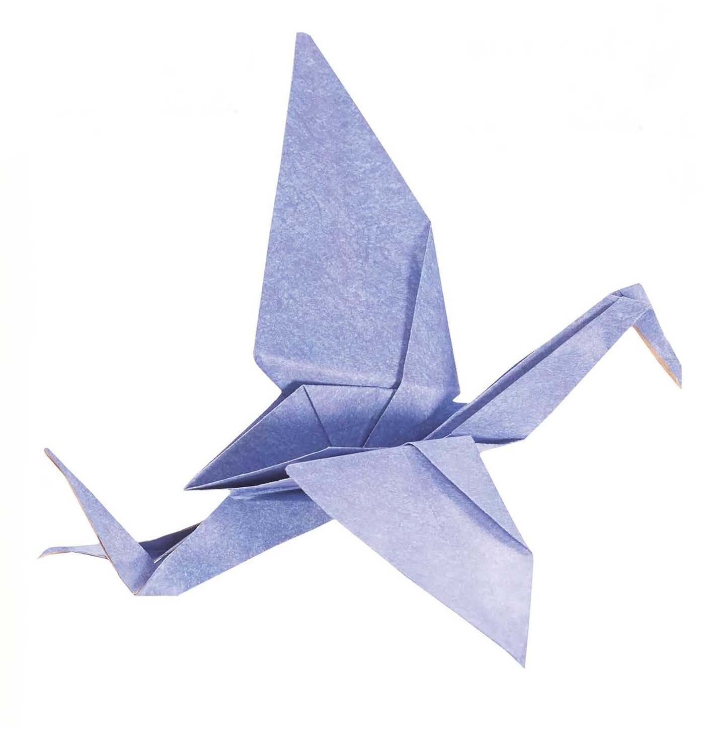 Origami Fun