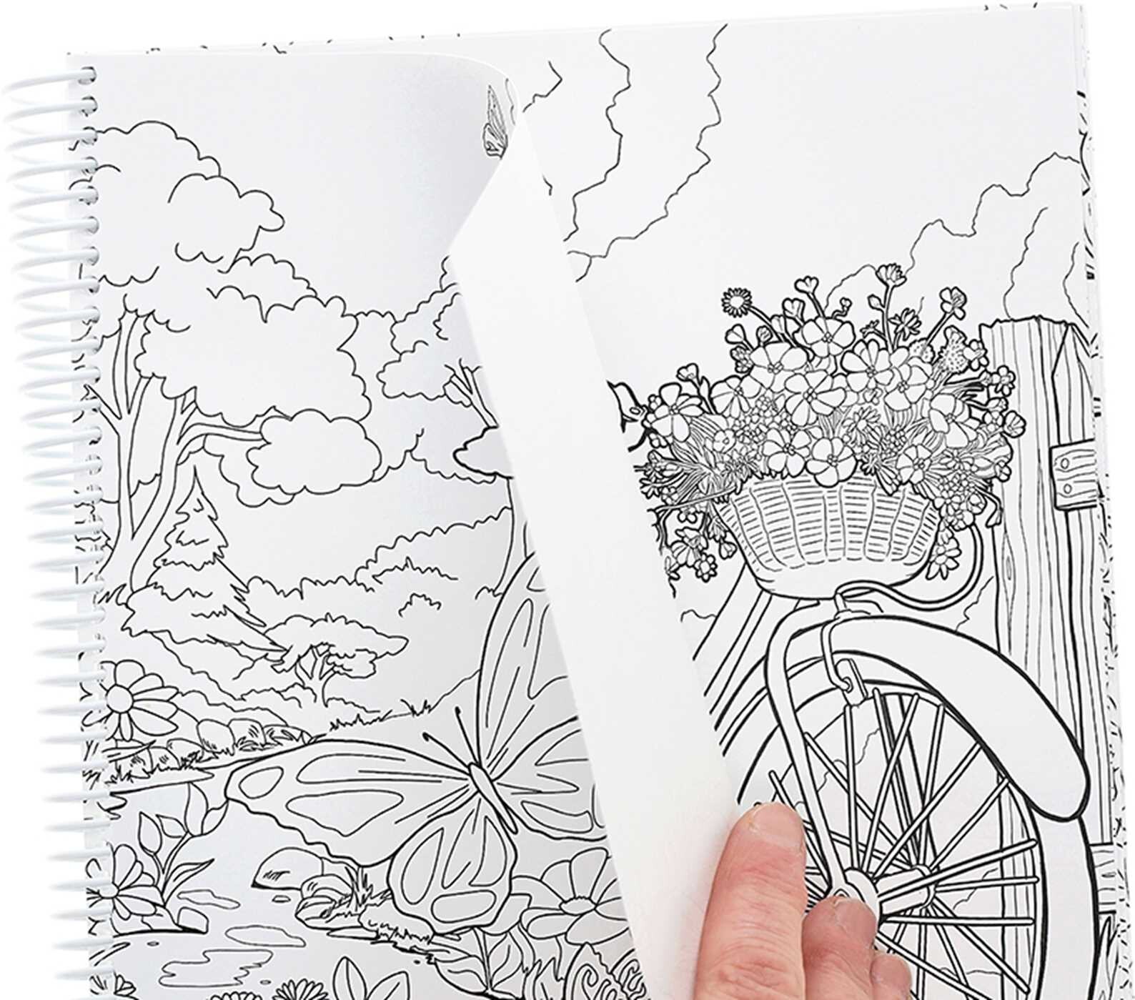 Blooms & Butterflies Coloring Book