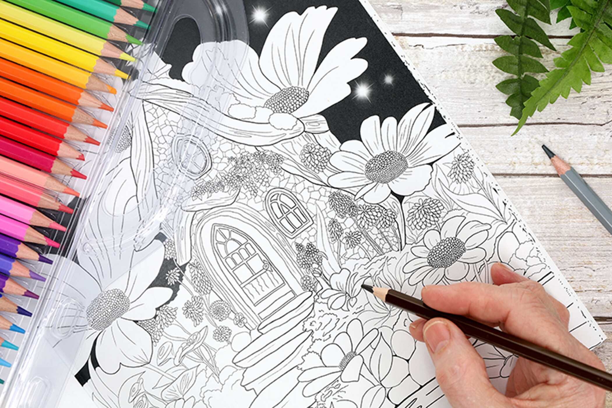 Enchanted Gardens—36 Magical Fantasy Designs for Adult Coloring