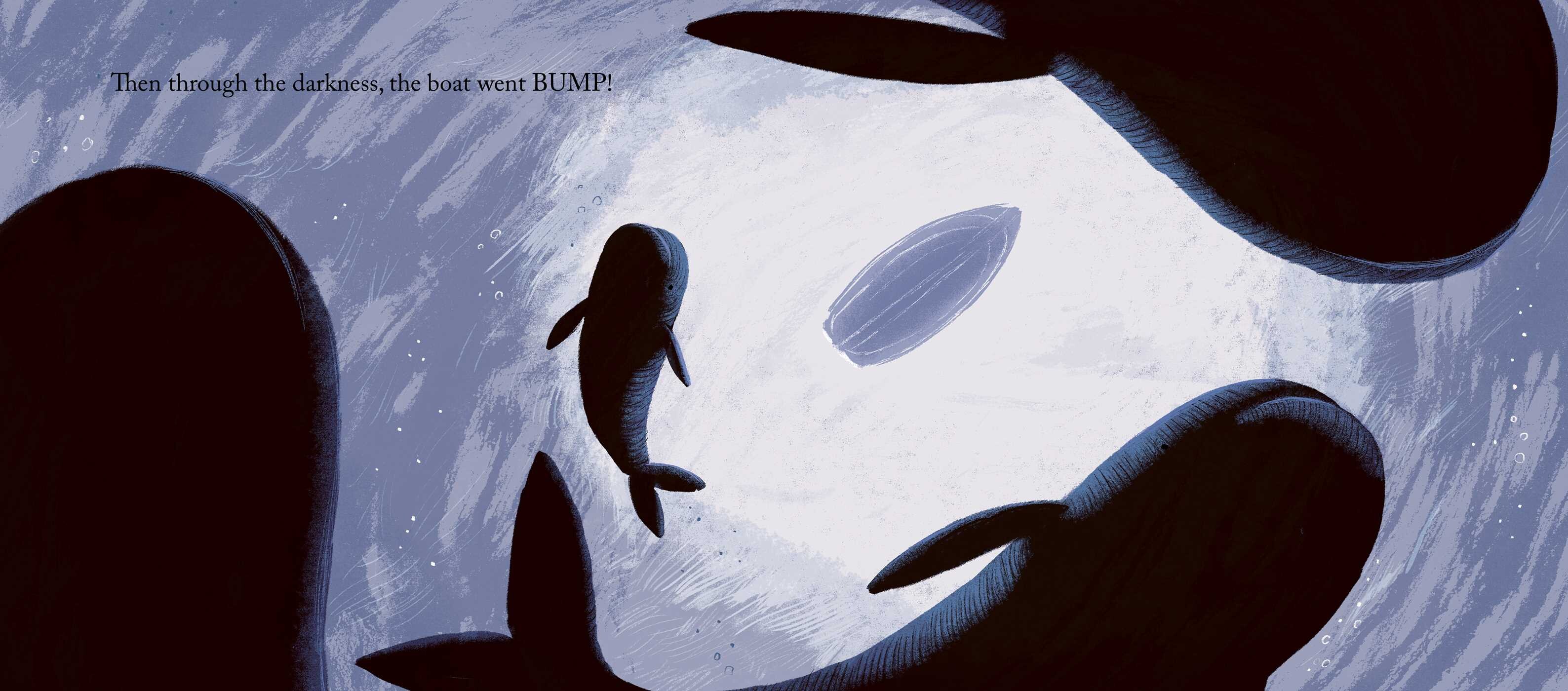 Storm Whale in Winter