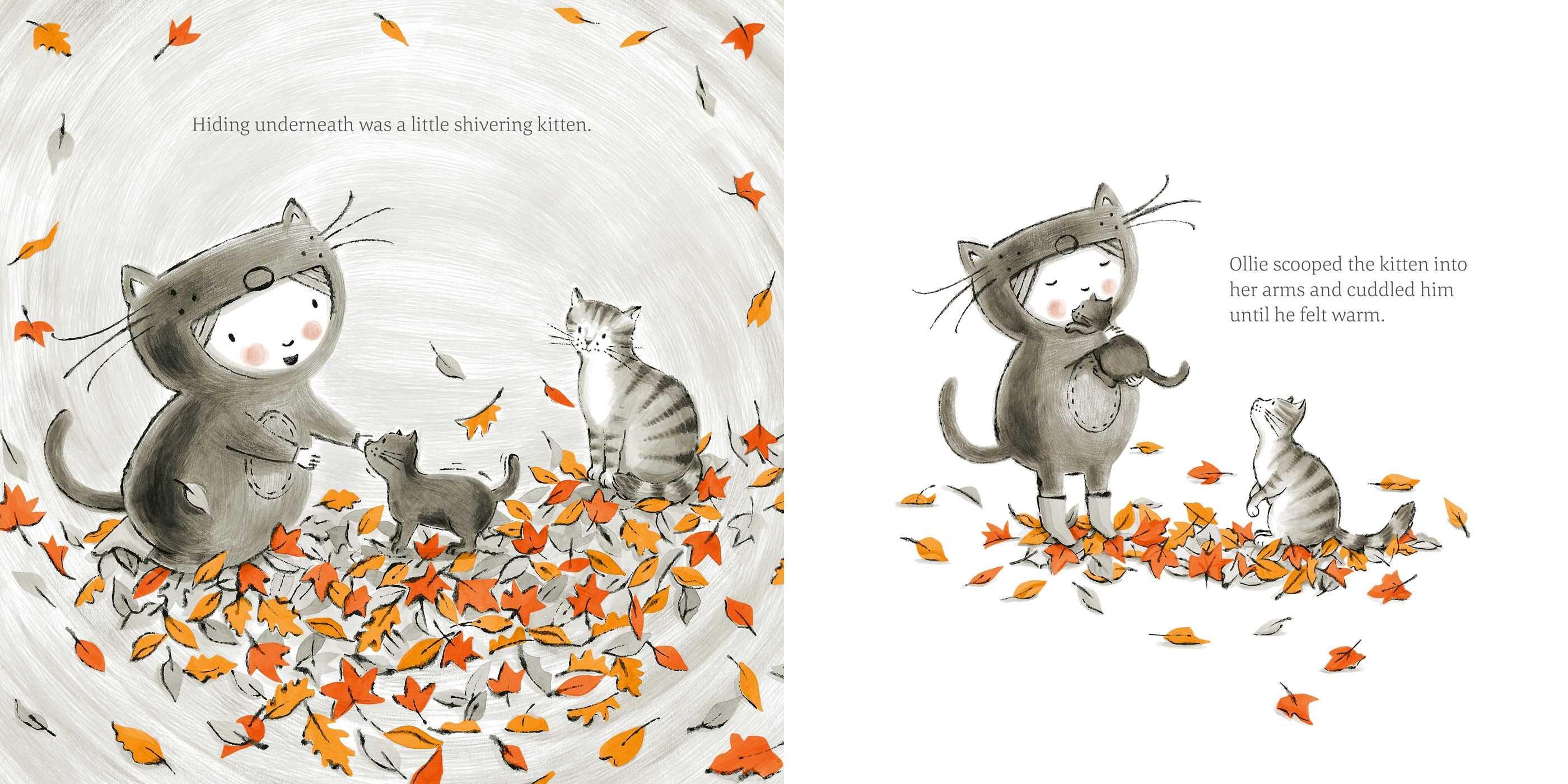Ollie's Lost Kitten