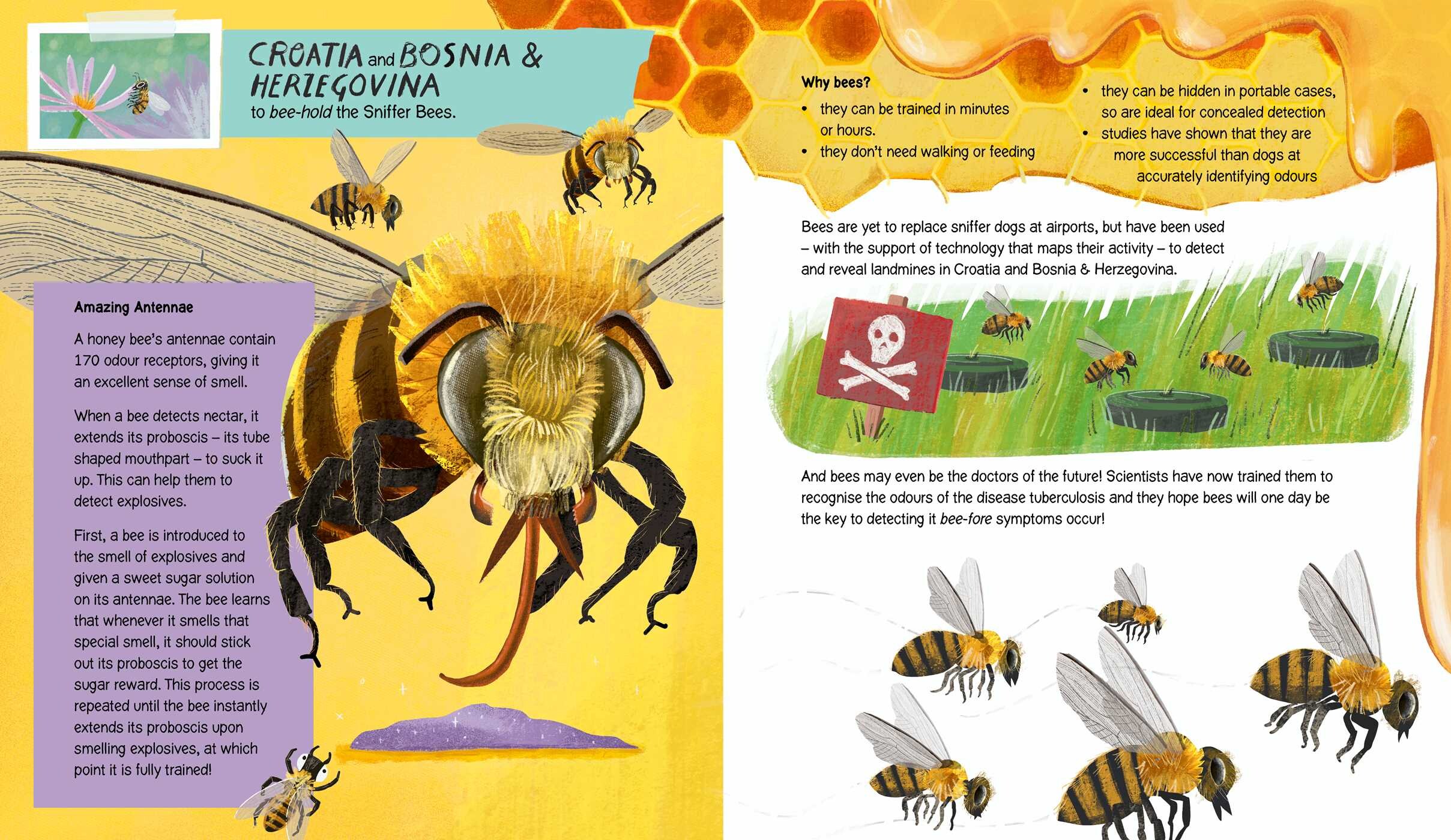 Amazing Animals with Astonishing Jobs