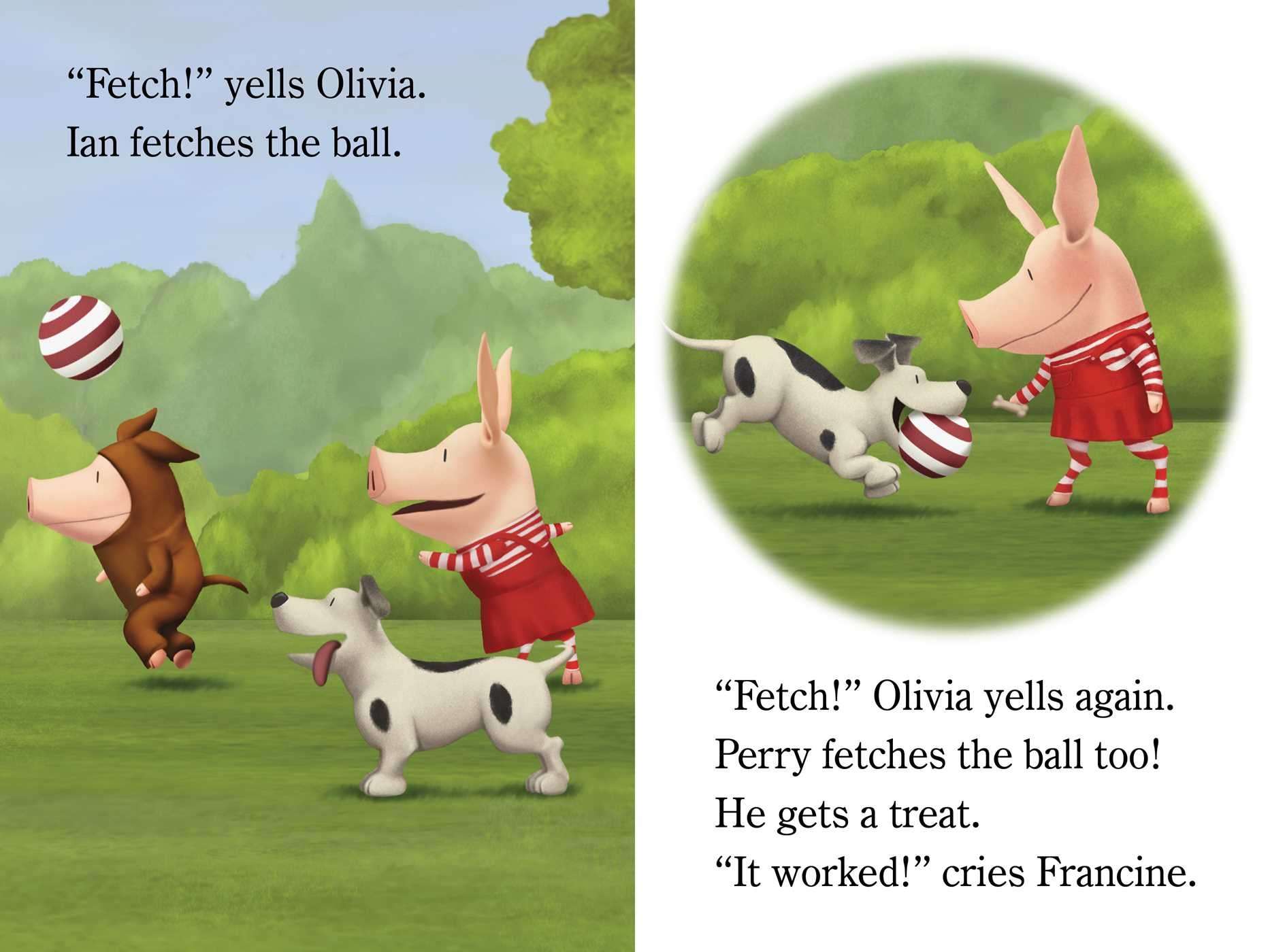 OLIVIA and the Pet Project Book by Lauren Forte, Jared Osterhold