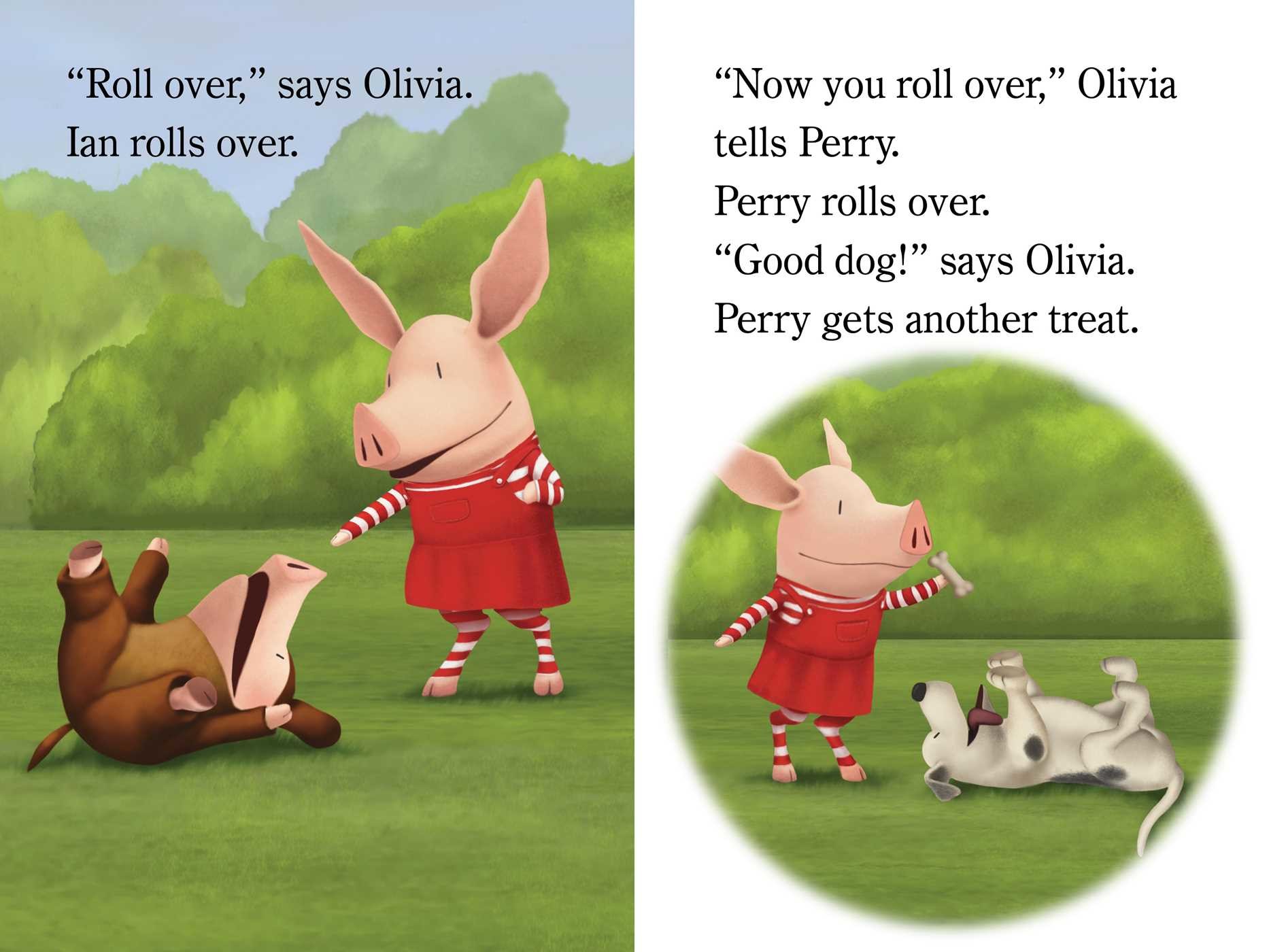 OLIVIA and the Pet Project Book by Lauren Forte, Jared Osterhold