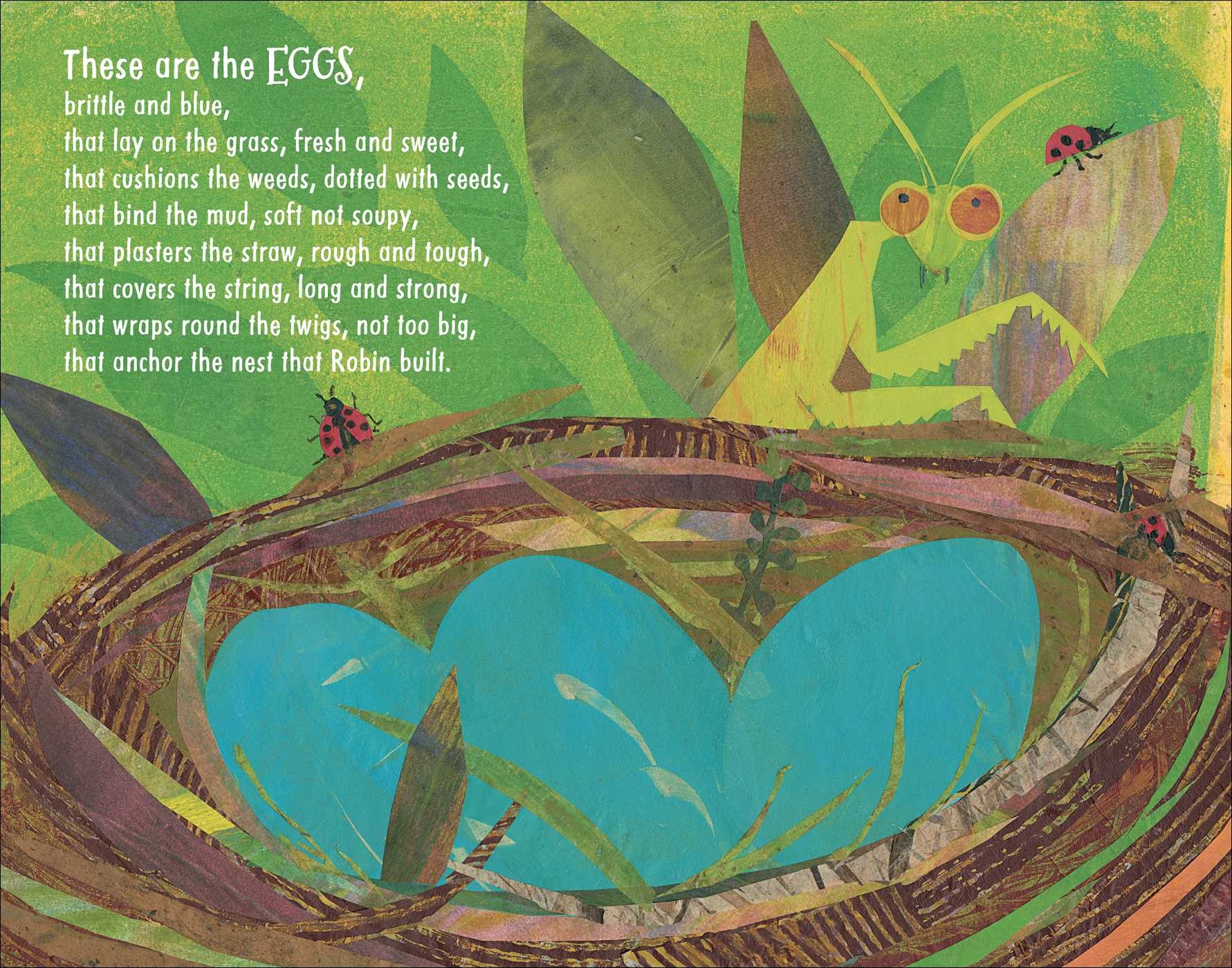 This Is the Nest That Robin Built Book by Denise Fleming Official Publisher Page Simon