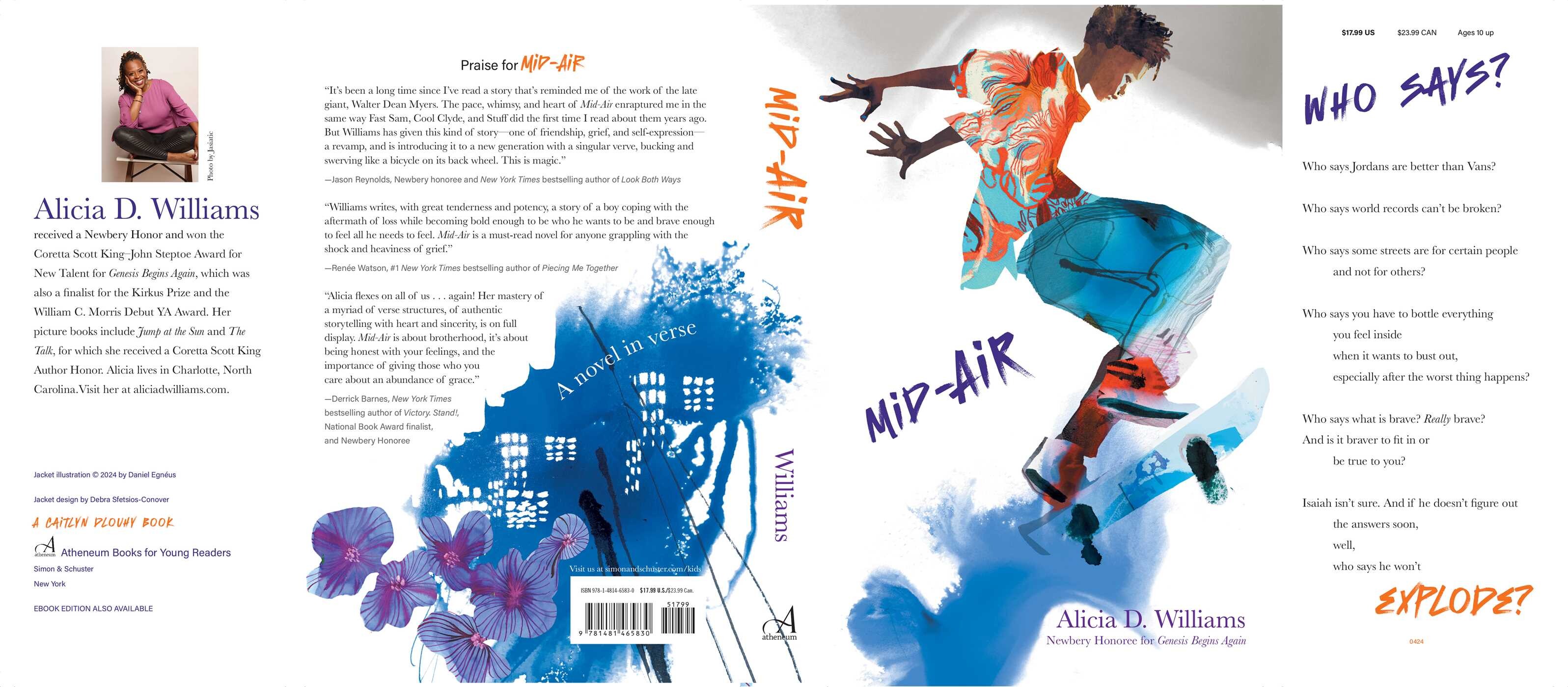 MidAir Book by Alicia D. Williams, Danica Novgorodoff Official