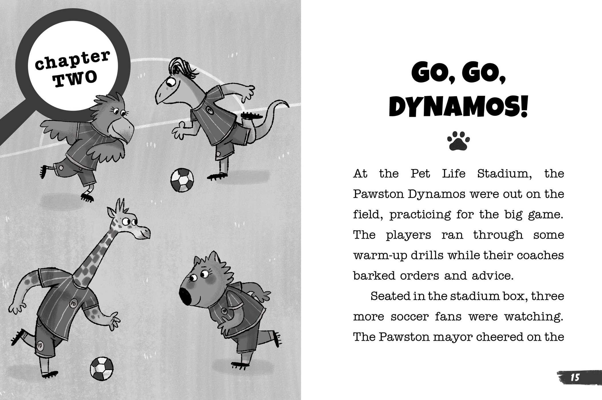 Soccer Ball Monster Mystery