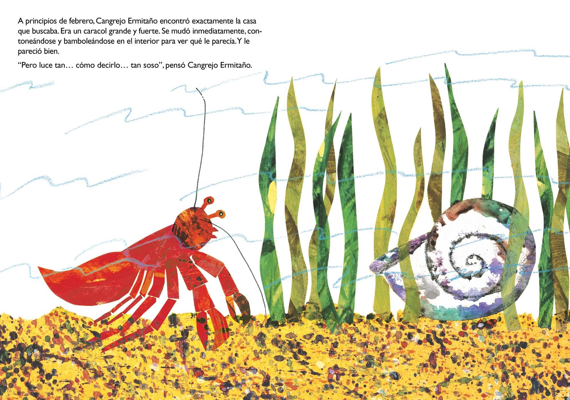 Una casa para Cangrejo Ermitaño (A House for Hermit Crab)