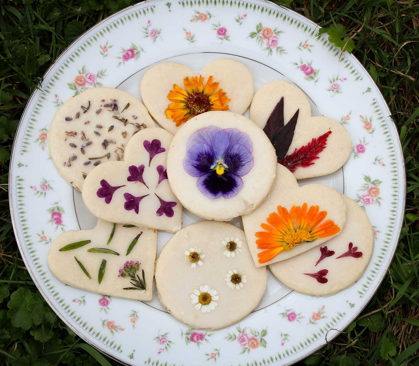 Homesteader's Guide to Cut Flowers