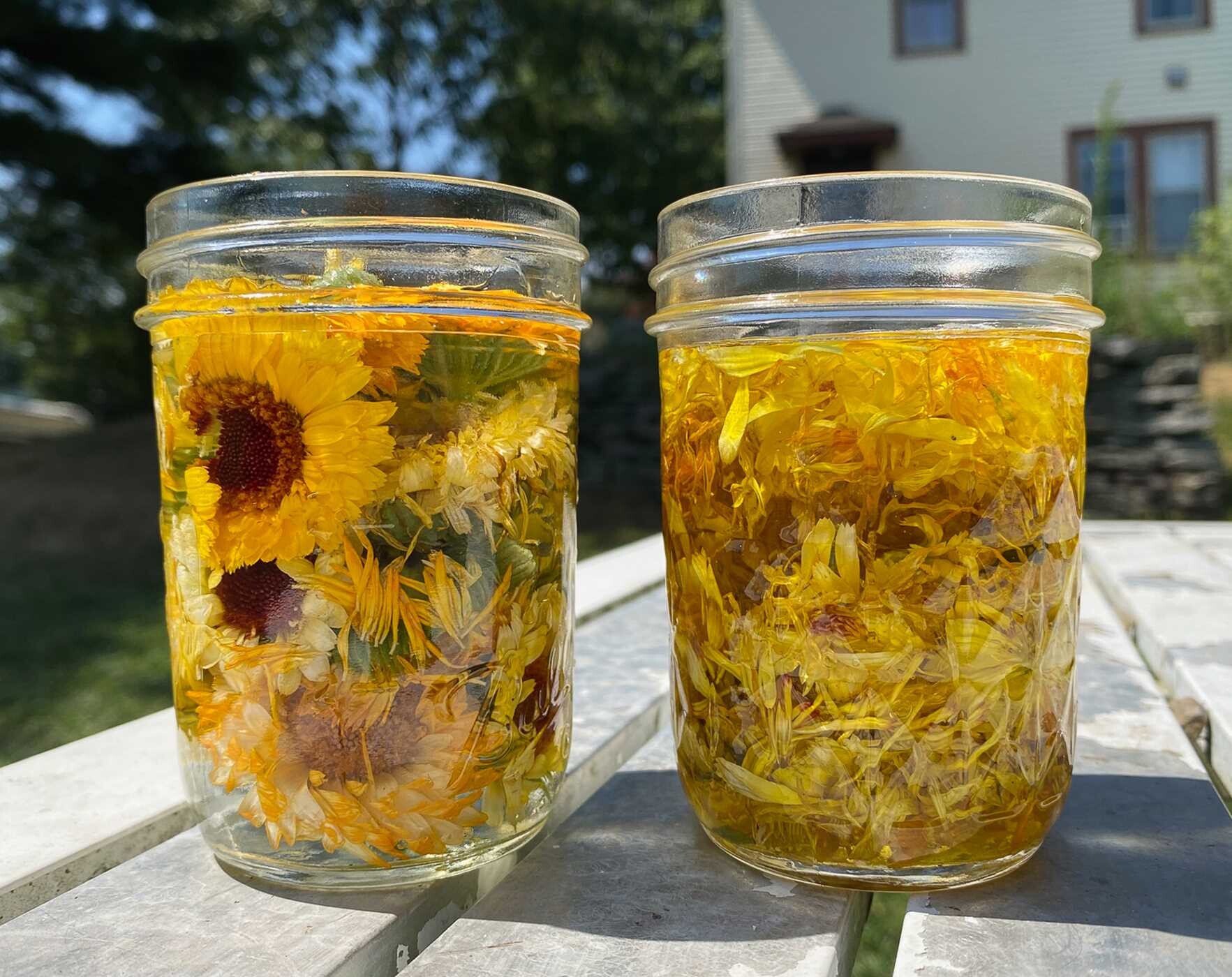 Homesteader's Guide to Cut Flowers