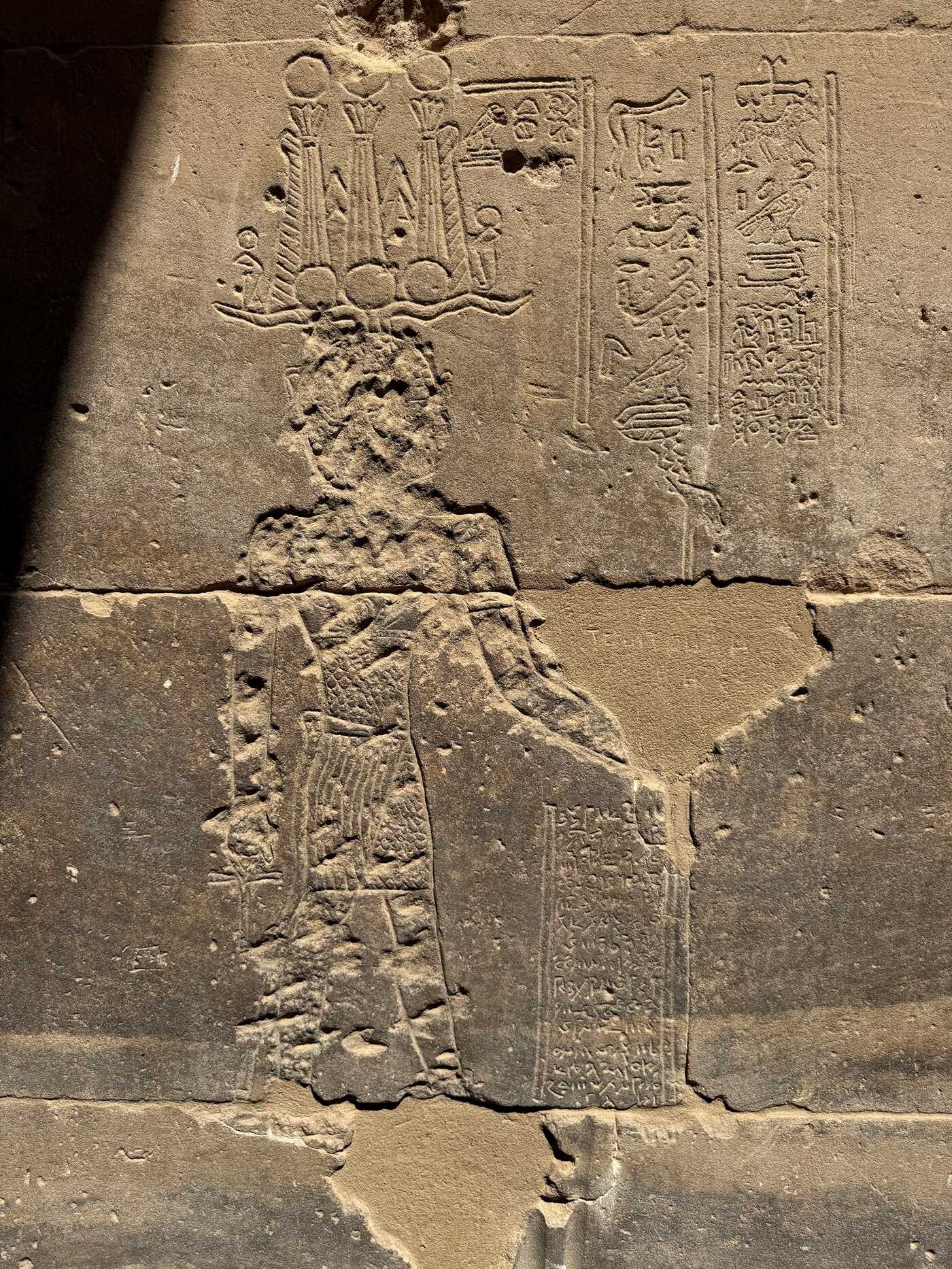 Leaky Aqueducts, Battle Pigeons, and Mystery Cults