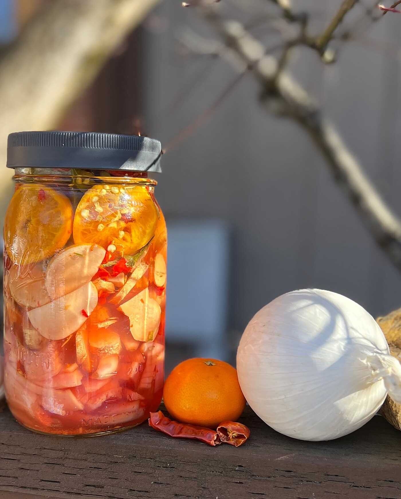 Homesteader's Guide to Natural Wellness