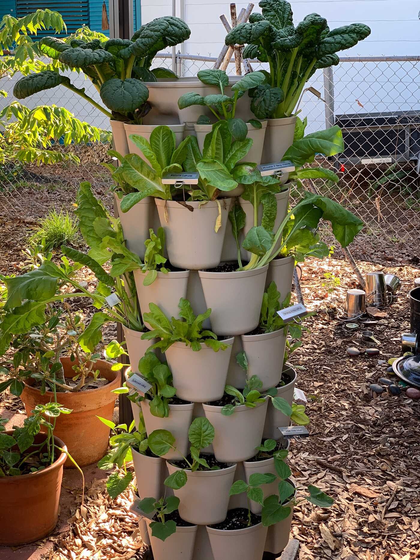 Urban Harvest Guide