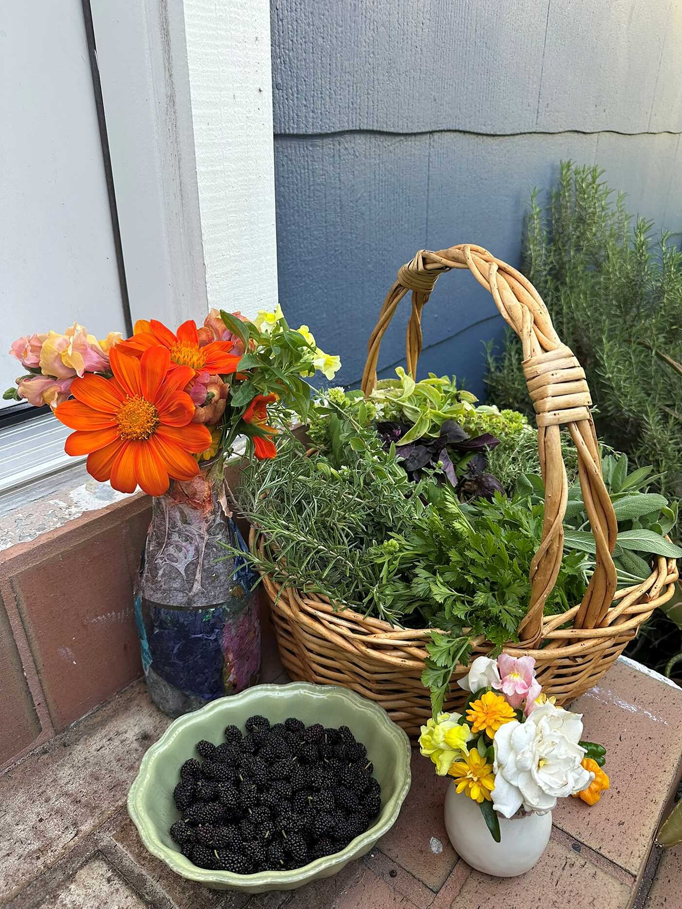 Urban Harvest Guide