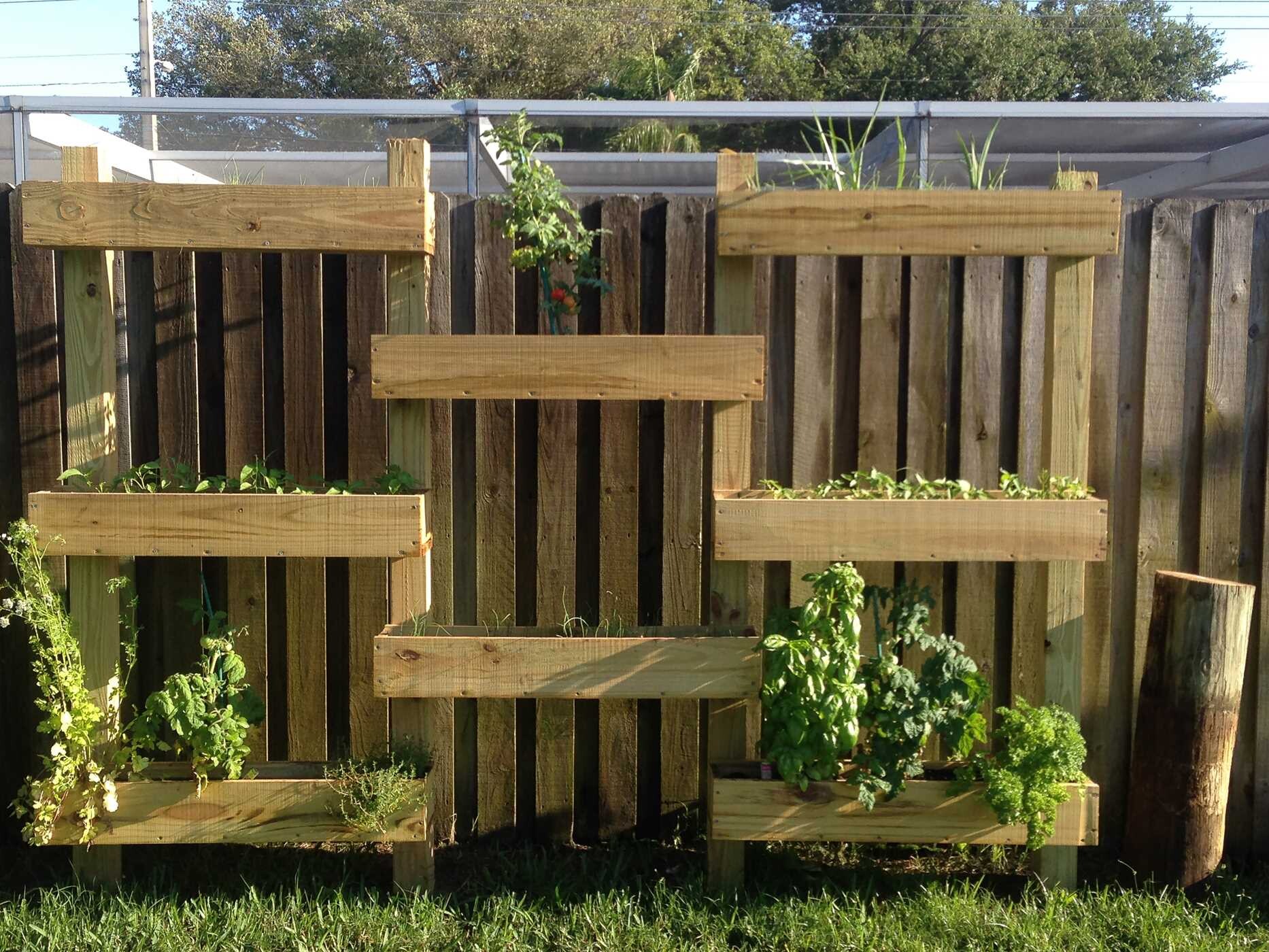Urban Harvest Guide